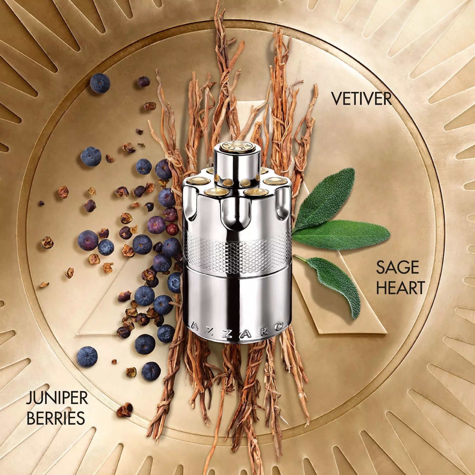 Perfume Azzaro Wanted EDP (M) / 100 ml - 3 - Privé Perfumes Honduras