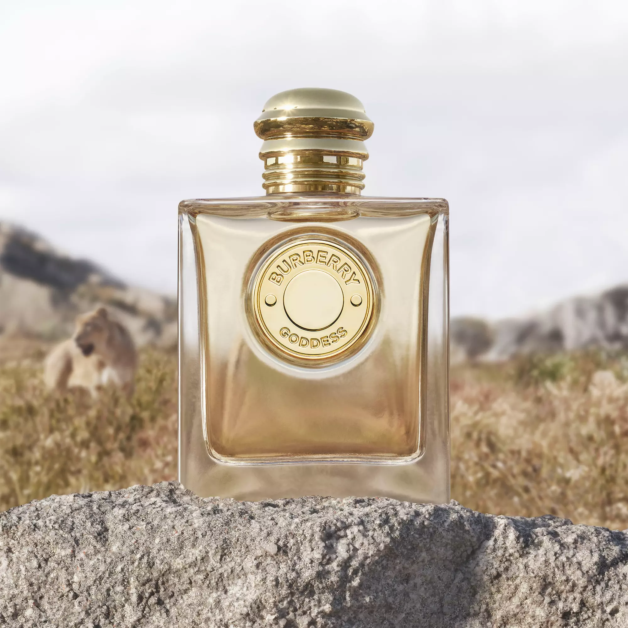 Perfume Burberry Goddess EDP (W) / 100 ml - 3 - Privé Perfumes Honduras