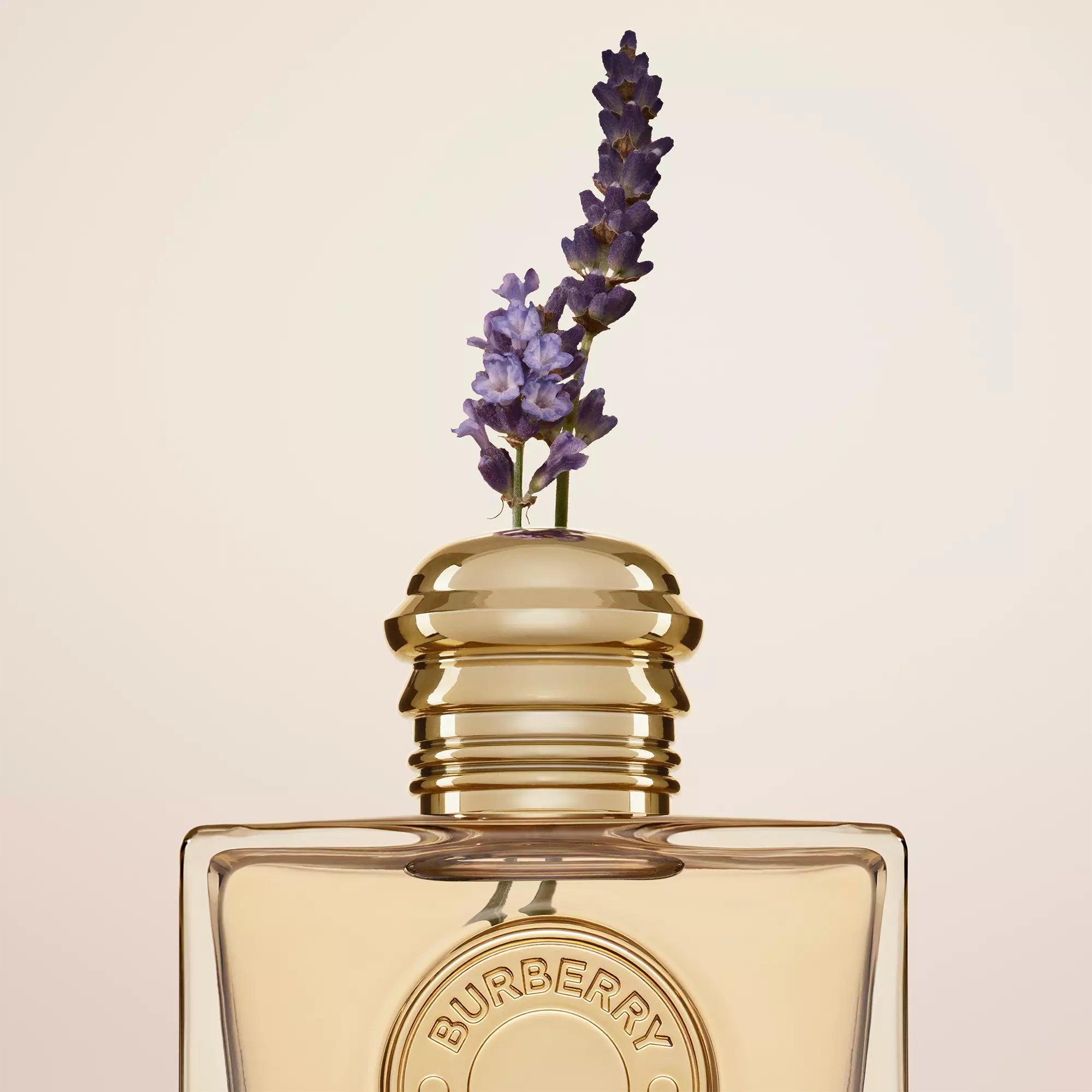 Perfume Burberry Goddess EDP (W) / 50 ml - 2 - Privé Perfumes Honduras