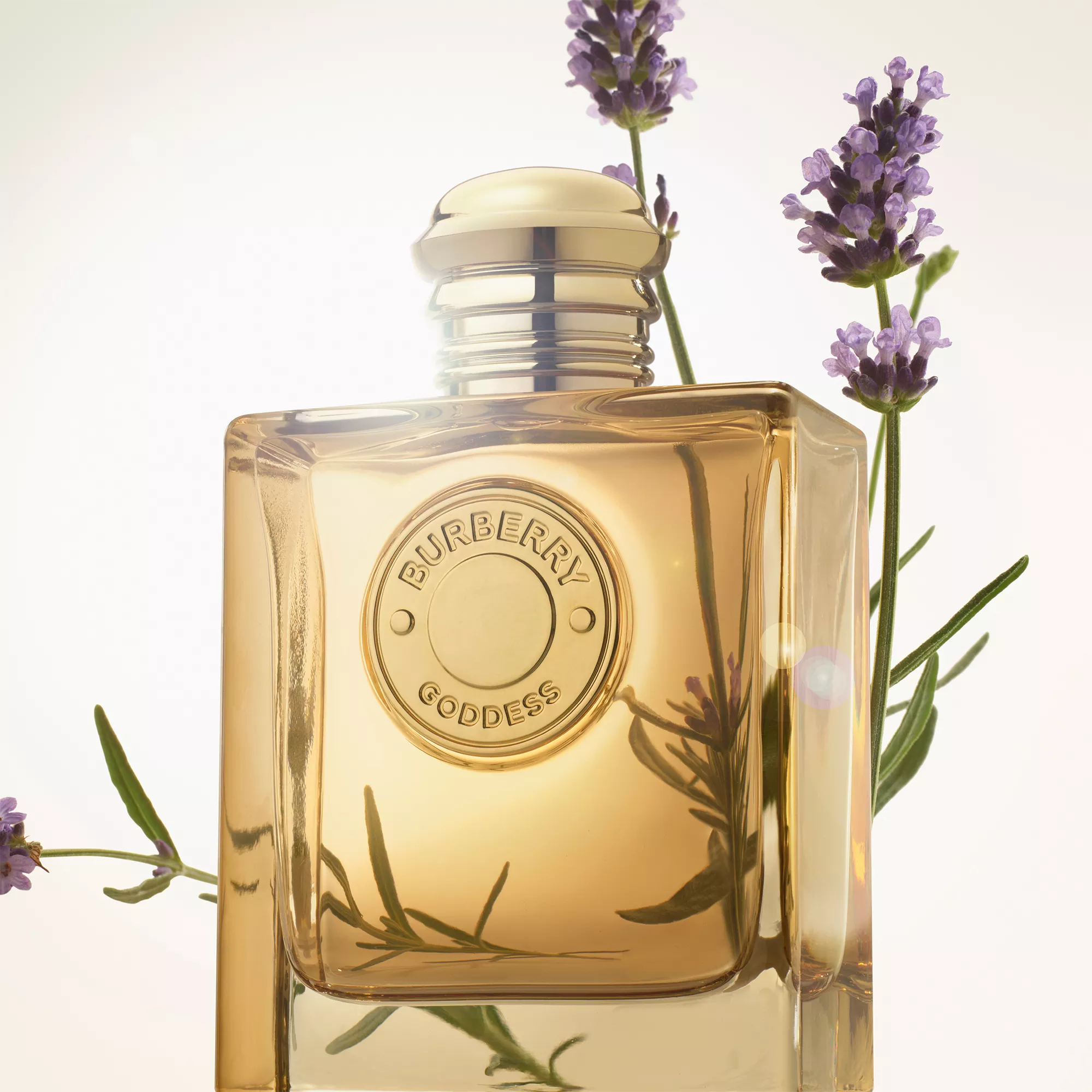 Perfume Burberry Goddess Intense EDP (W) / 100 ml - 3 - Privé Perfumes Honduras