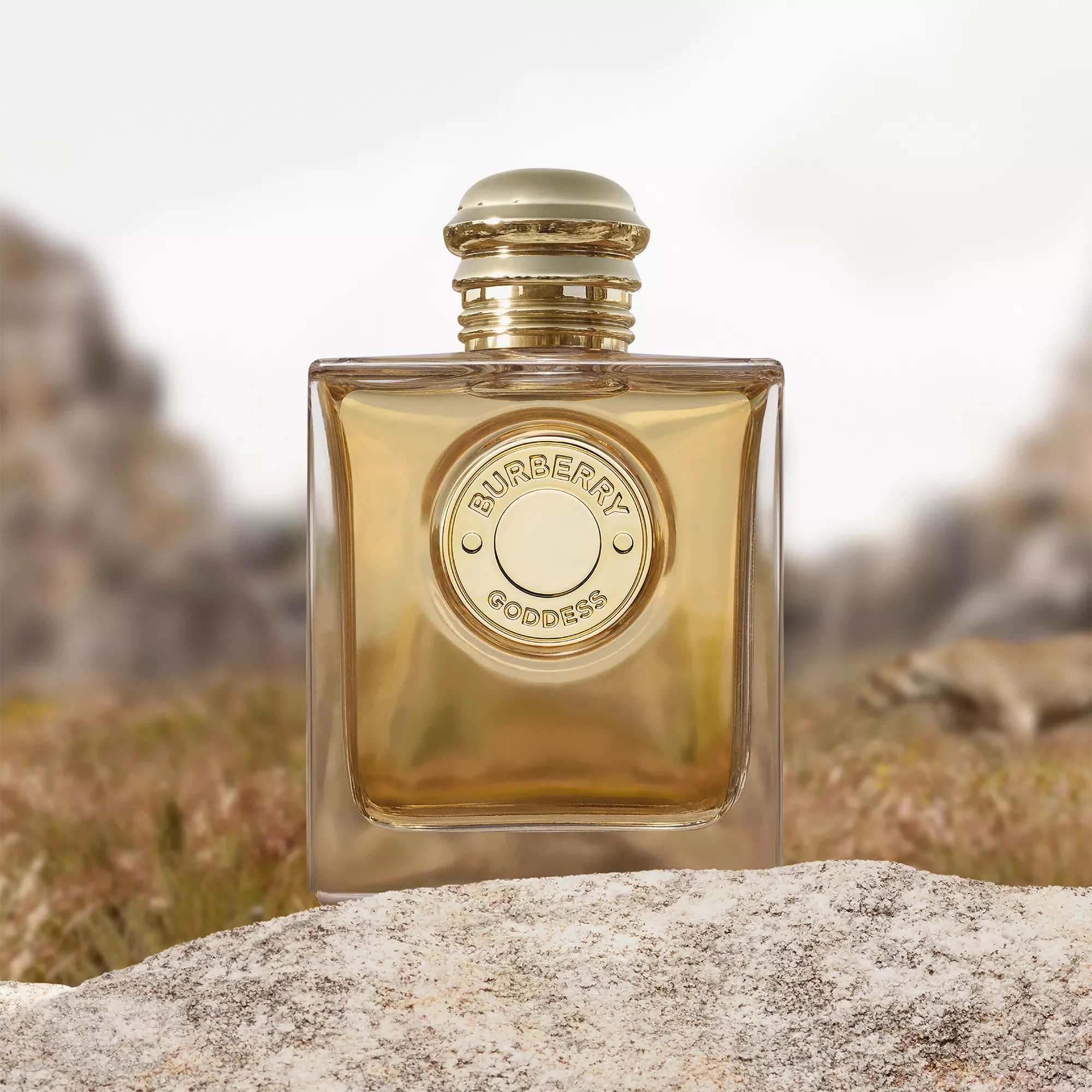 Perfume Burberry Goddess Intense EDP (W) / 100 ml - 5 - Privé Perfumes Honduras
