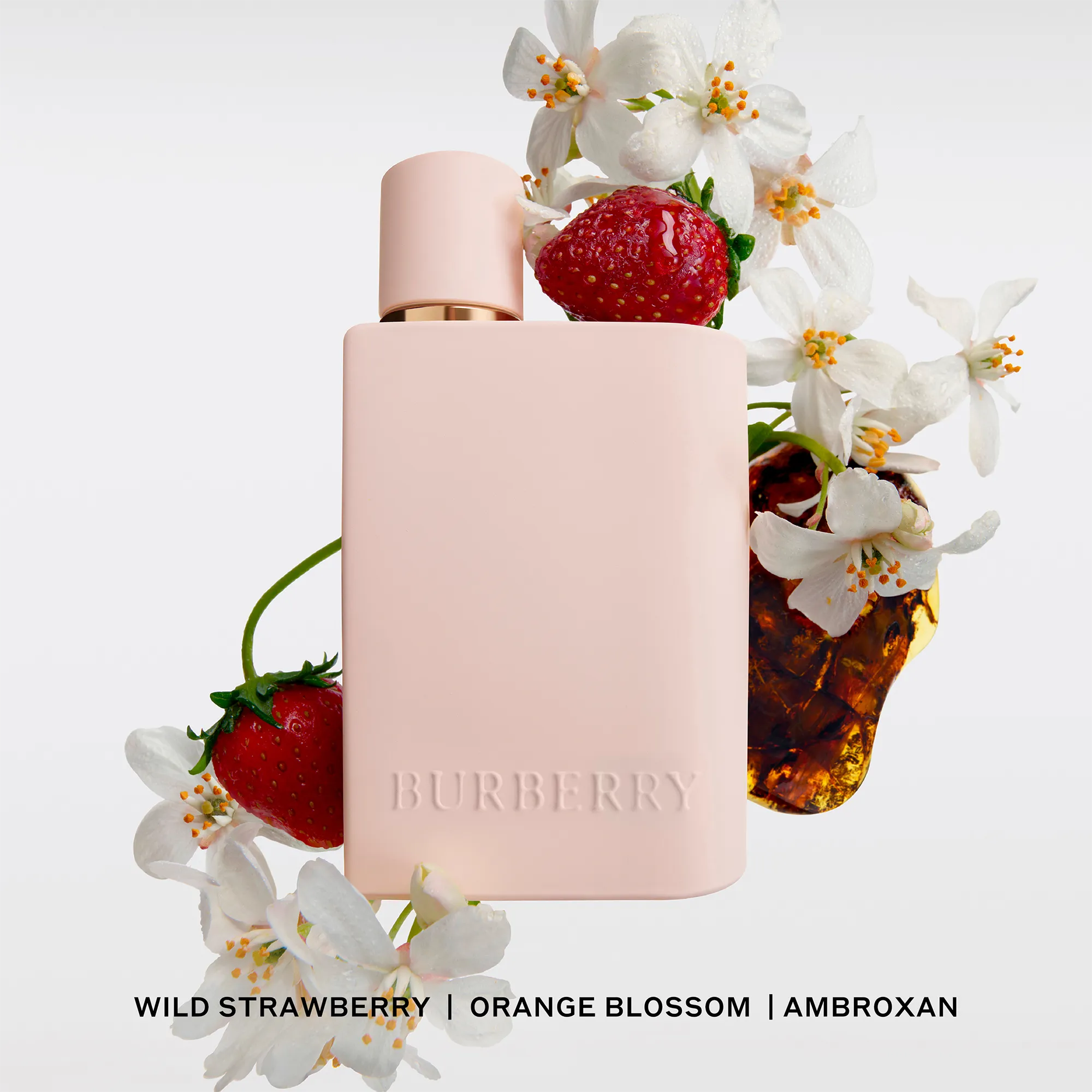 Perfume Burberry Her Eau de Parfum Intense EDP (W) / 50 ml - 4 - Privé Perfumes Honduras
