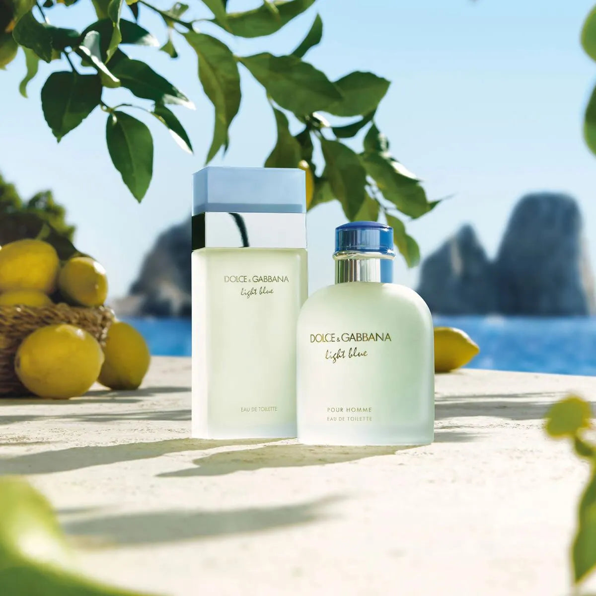 Perfume Dolce&Gabbana Light Blue EDT (W) / 100 ml - 6 - Privé Perfumes Honduras