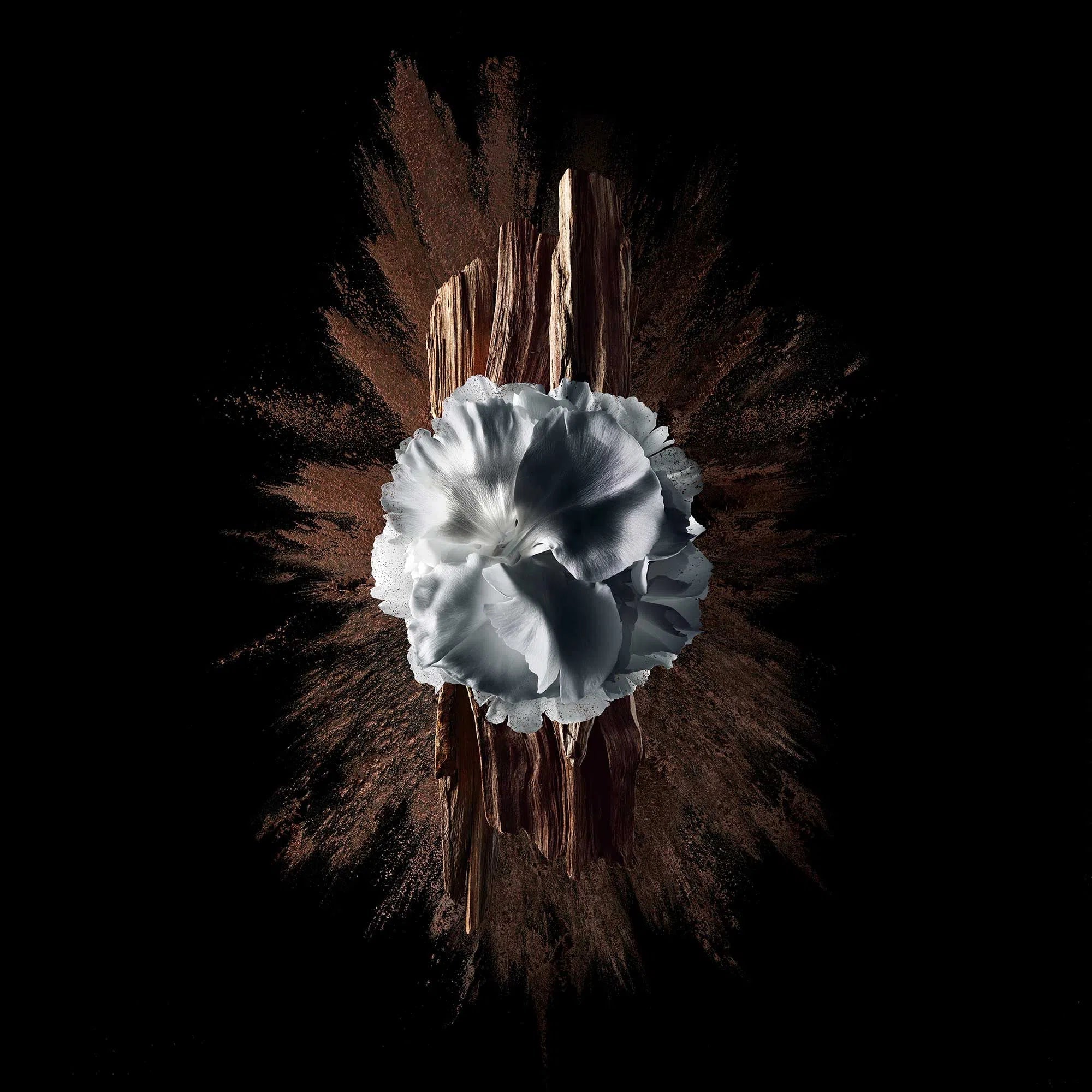 Perfume Givenchy Gentleman Society Extreme EDP (M) / 100 ml - 4 - Privé Perfumes Honduras