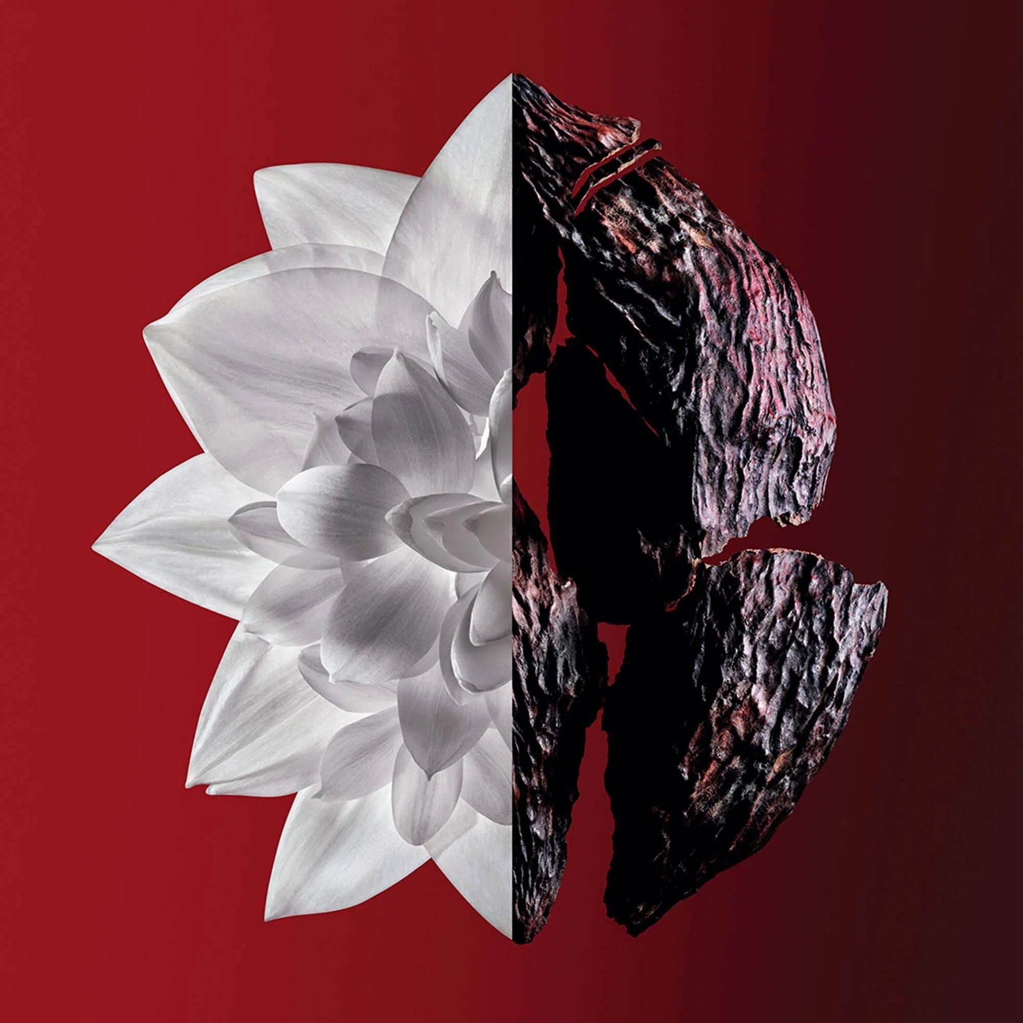 Perfume Givenchy L'Interdit Rouge Ultime EDP (W) / 80 ml - 3 - Privé Perfumes Honduras