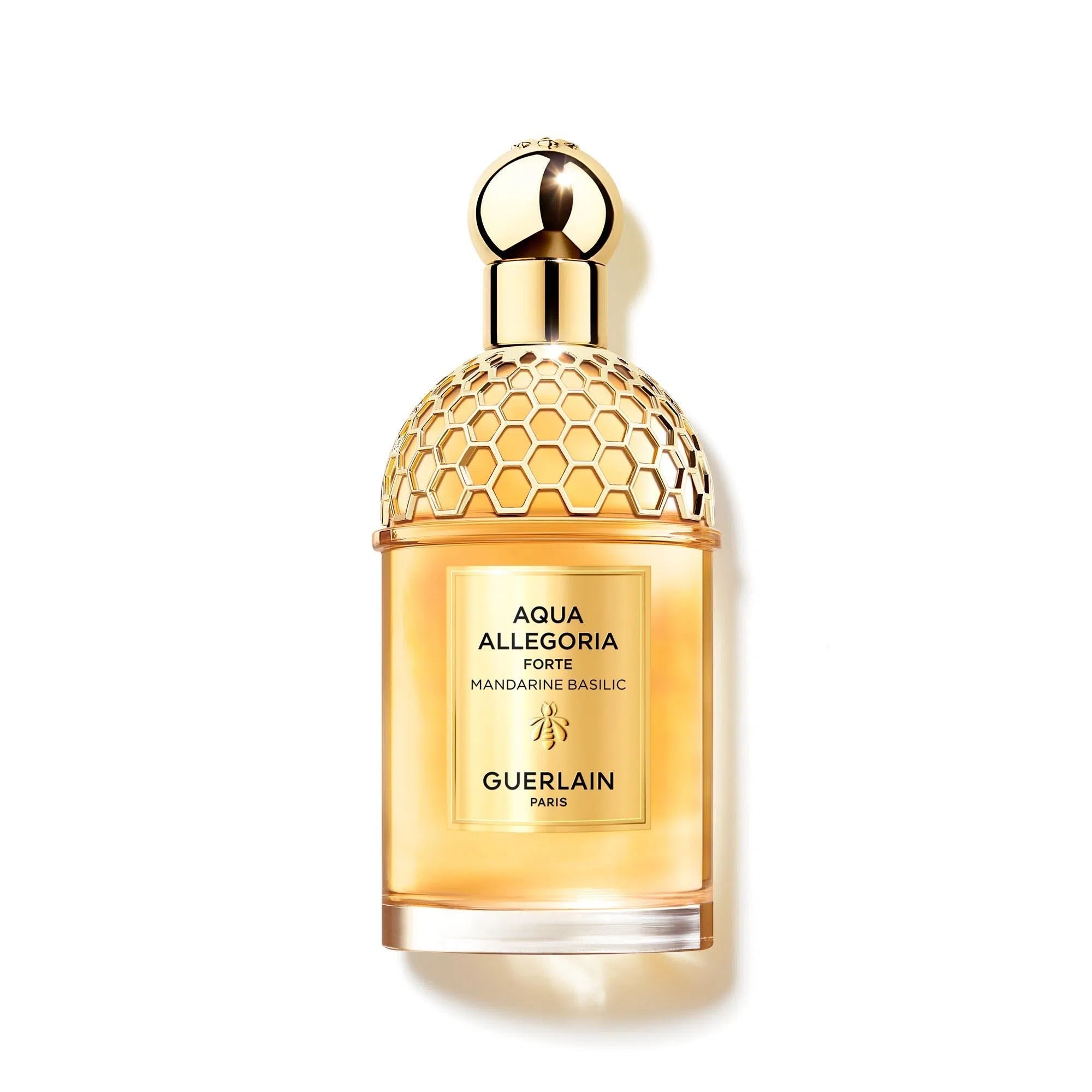 Perfume Guerlain Aqua Allegoria Forte Bosca Vanilla EDP (U) / 125 ml - 1 - Privé Perfumes Honduras