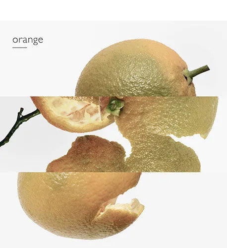 Perfume Hermès Eau De Orange Verte EDC (M) / 100 ml - 7 - Privé Perfumes Honduras