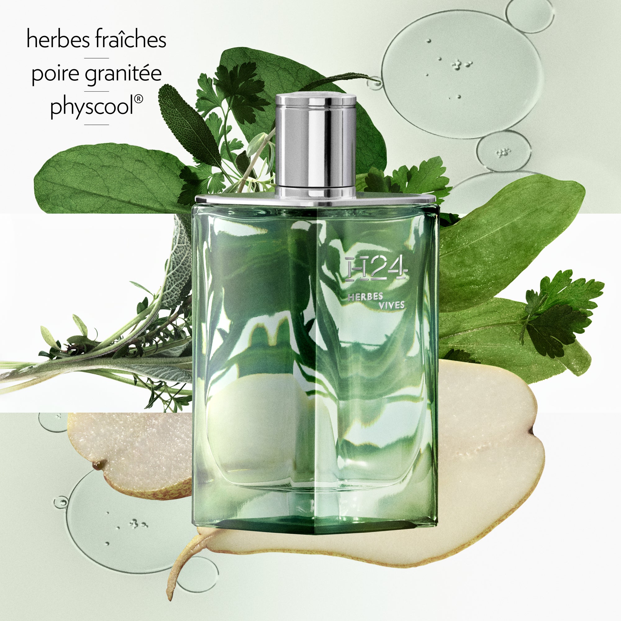 Perfume Hermès H24 Herbes Vives EDP (M) / 100 ml - 5 - Privé Perfumes Honduras