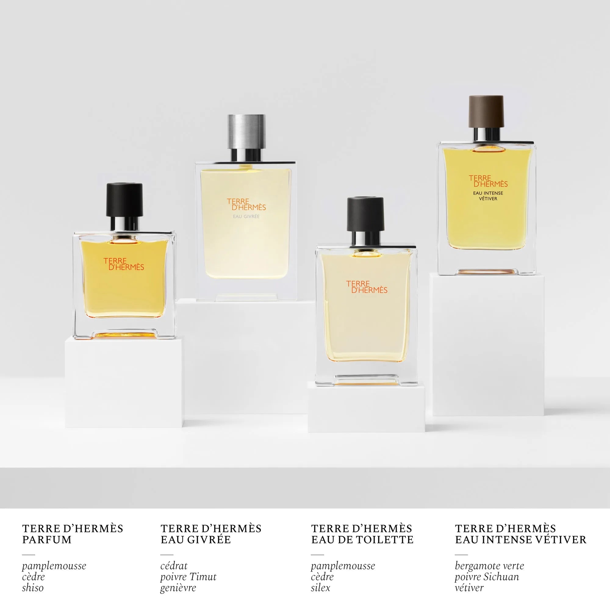 Perfume Hermès Terre D'Hermes Eau Givree EDP (M) / 100 ml - 13 - Privé Perfumes Honduras
