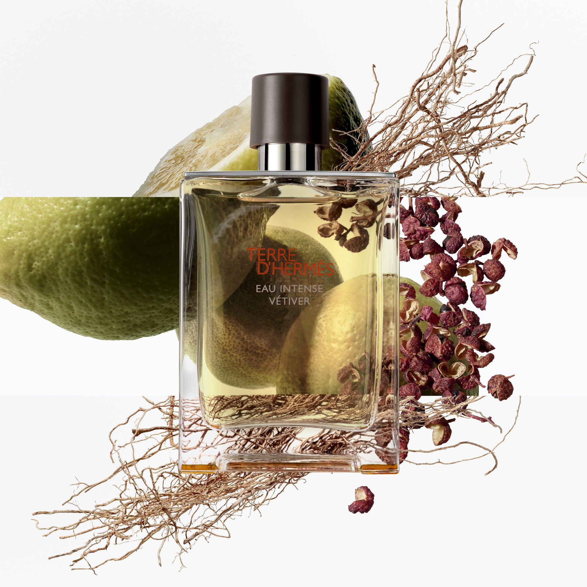 Perfume Hermès Terre d'Hermes Eau Intense Vetiver EDP (M) / 50 ml - 5 - Privé Perfumes Honduras