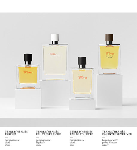 Perfume Hermès Terre d'Hermès EDT (M) / 100 ml - 8 - Privé Perfumes Honduras