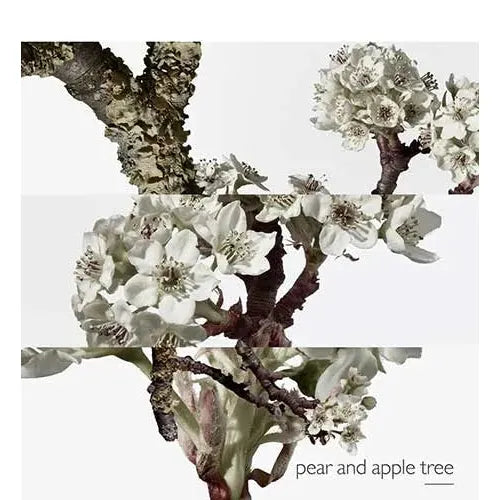 Perfume Hermès Un Jardin Sur Le Toit EDT (W) / 100 ml - 4 - Privé Perfumes Honduras