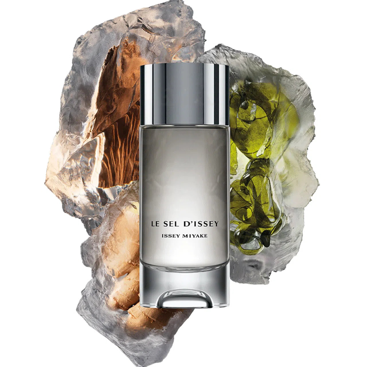 Perfume Issey Miyake Le Sel D'Issey EDT (M) / 100 ml - 4 - Privé Perfumes Honduras