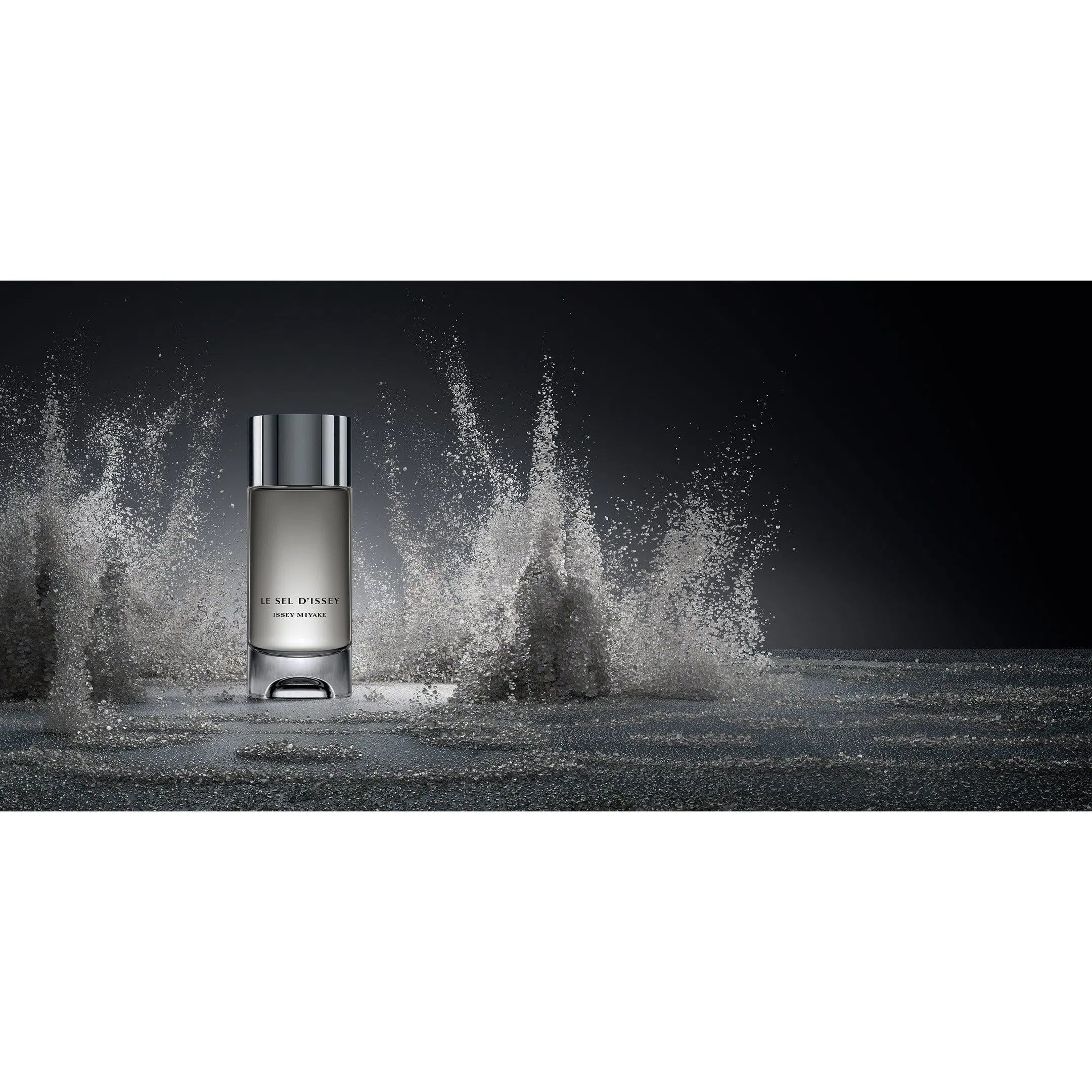 Perfume Issey Miyake Le Sel D'Issey EDT (M) / 100 ml - 8 - Privé Perfumes Honduras