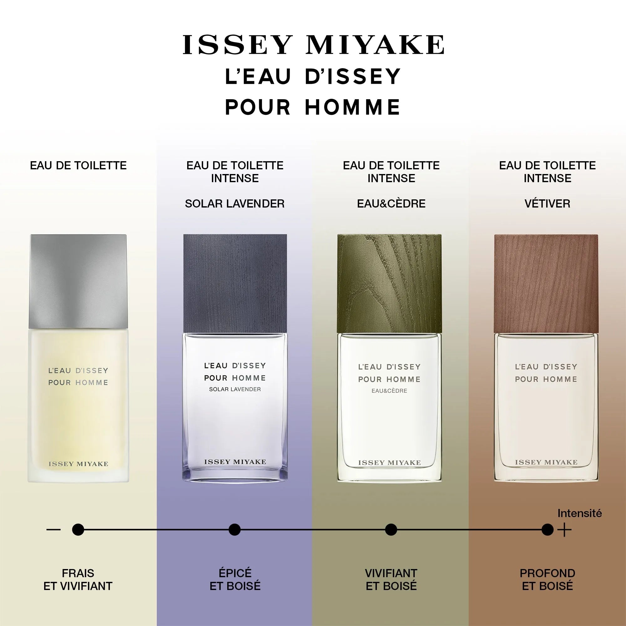 Perfume Issey Miyake L'Eau D'Issey Pour Homme EDT (M) / 200 ml - 9 - Privé Perfumes Honduras