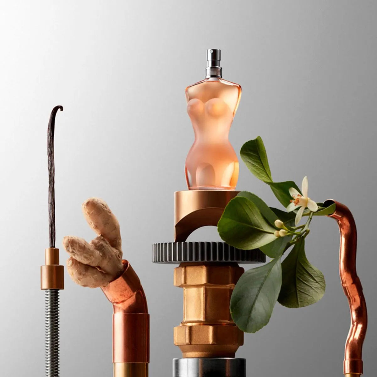 Perfume Jean Paul Gaultier Classique EDT (W) / 100 ml - 4 - Privé Perfumes Honduras