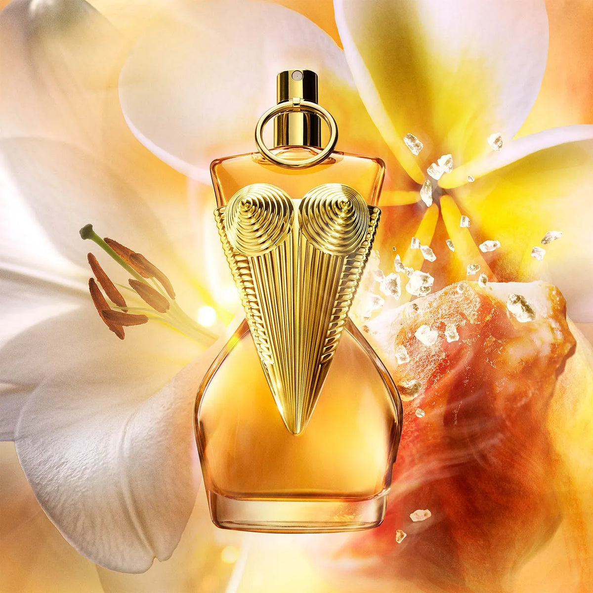 Perfume Jean Paul Gaultier Divine Le Parfum (W) / 100 ml - 3 - Privé Perfumes Honduras