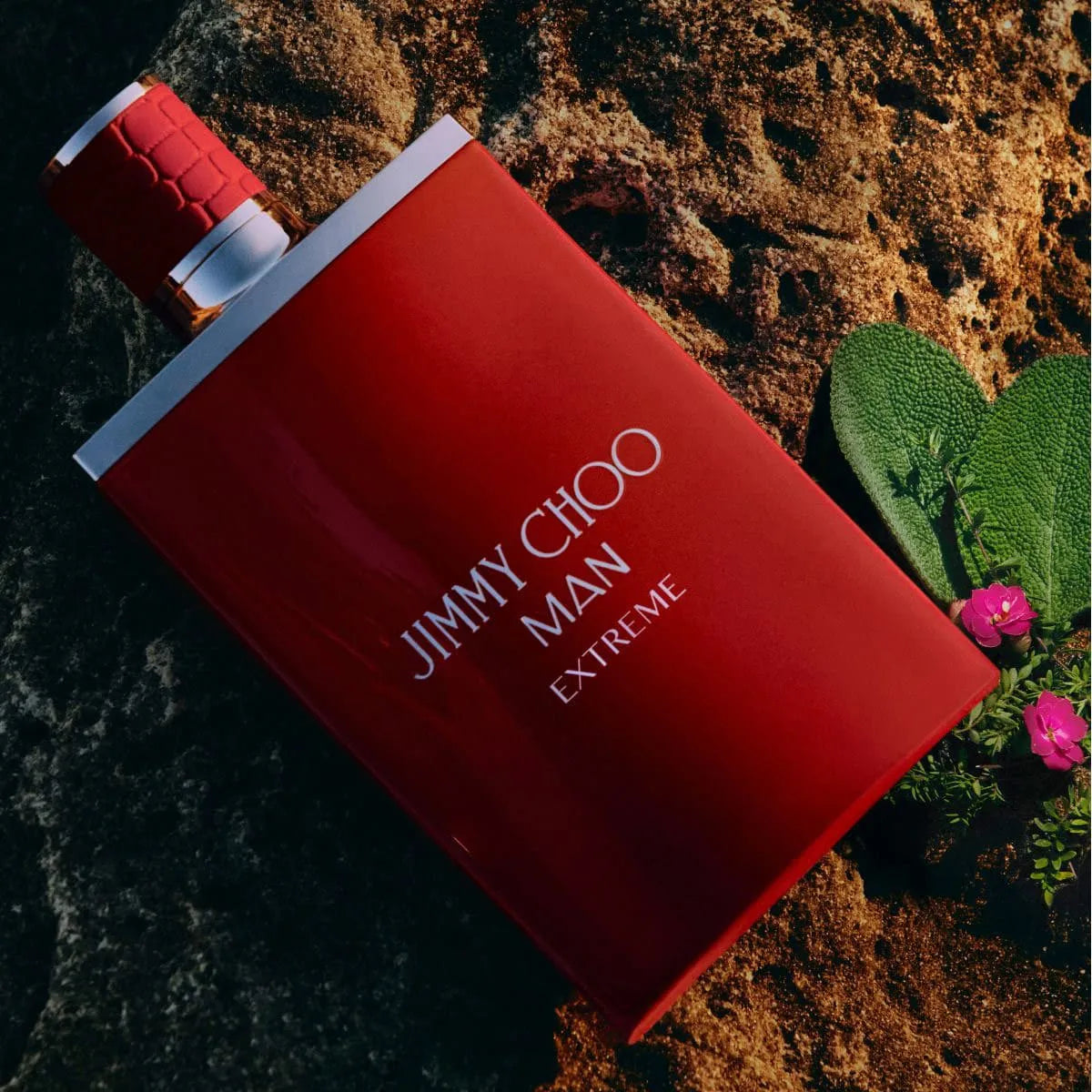 Perfume Jimmy Choo Man Extreme EDP (M) / 100 ml - 9 - Privé Perfumes Honduras