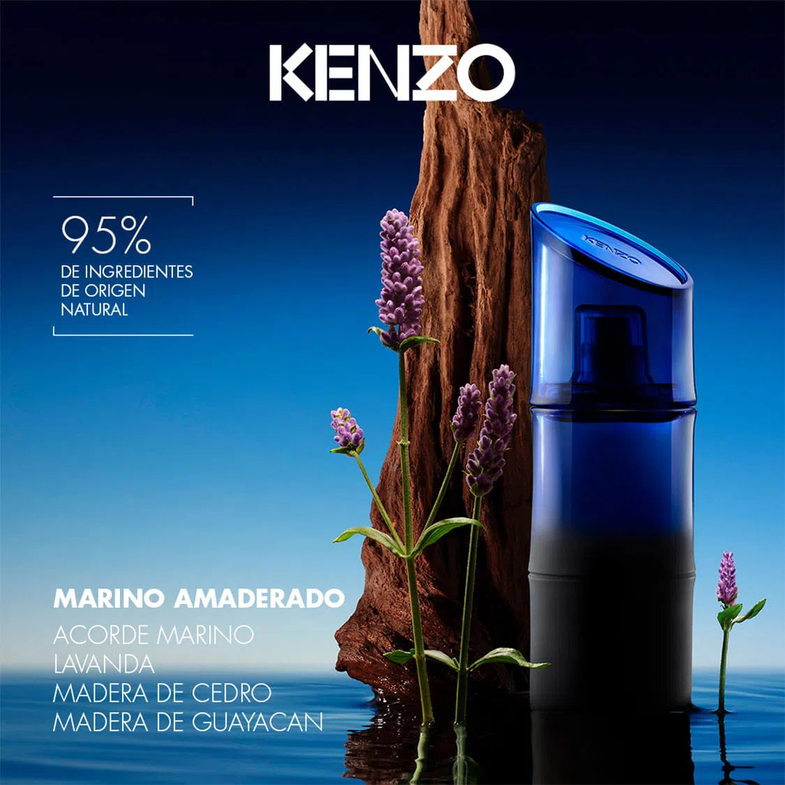 Perfume Kenzo Homme Santal Marin EDT (M) / 110 ml - 3 - Privé Perfumes Honduras