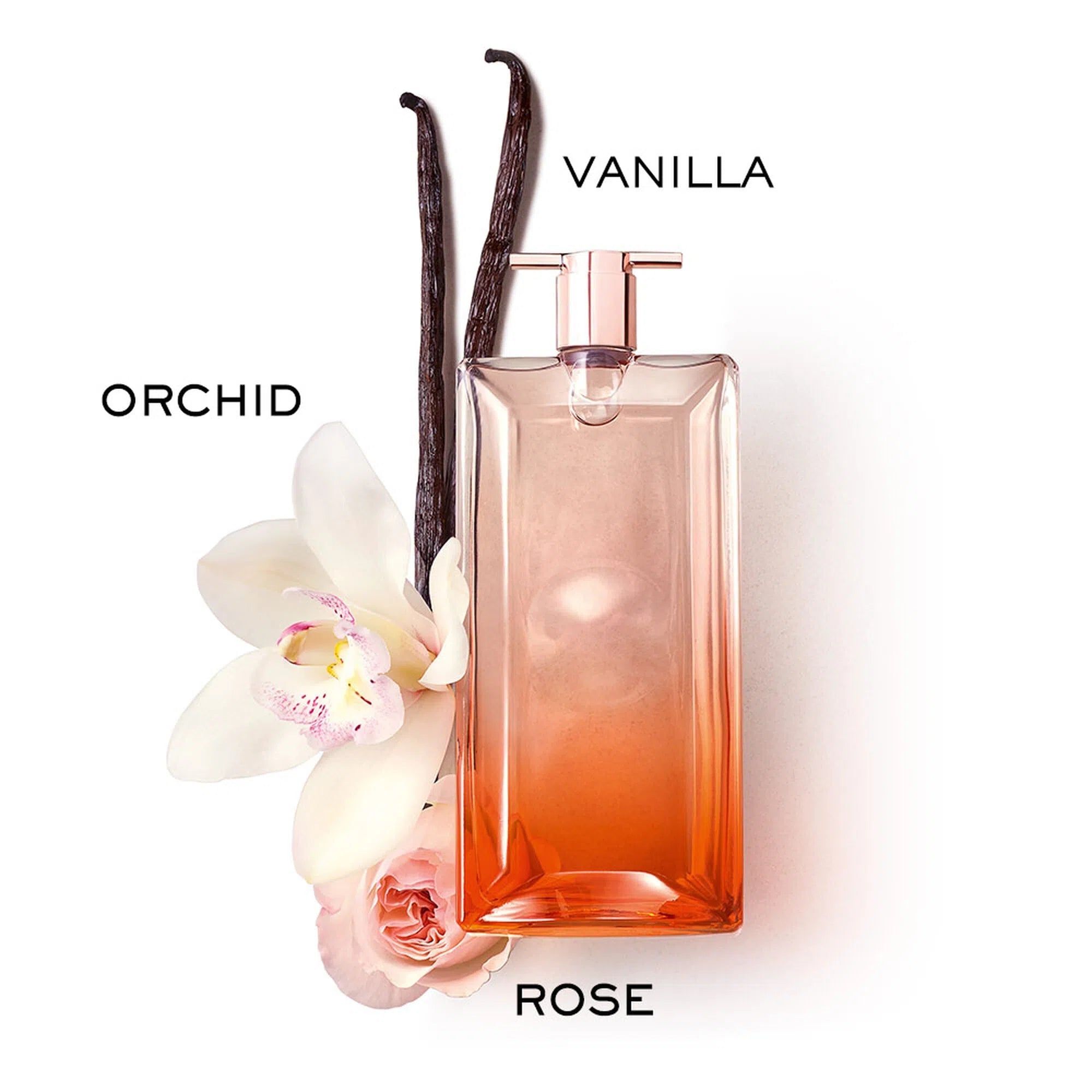 Perfume Lancôme Idole Now EDP (W) / 100 ml - 4 - Privé Perfumes Honduras
