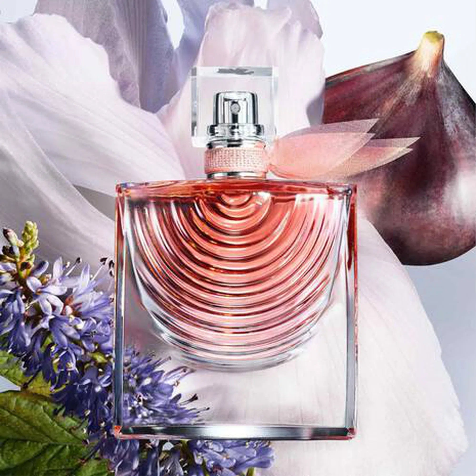 Perfume Lancôme La Vie Est Belle Iris Absolu EDP (W) / 50 ml - 5 - Privé Perfumes Honduras