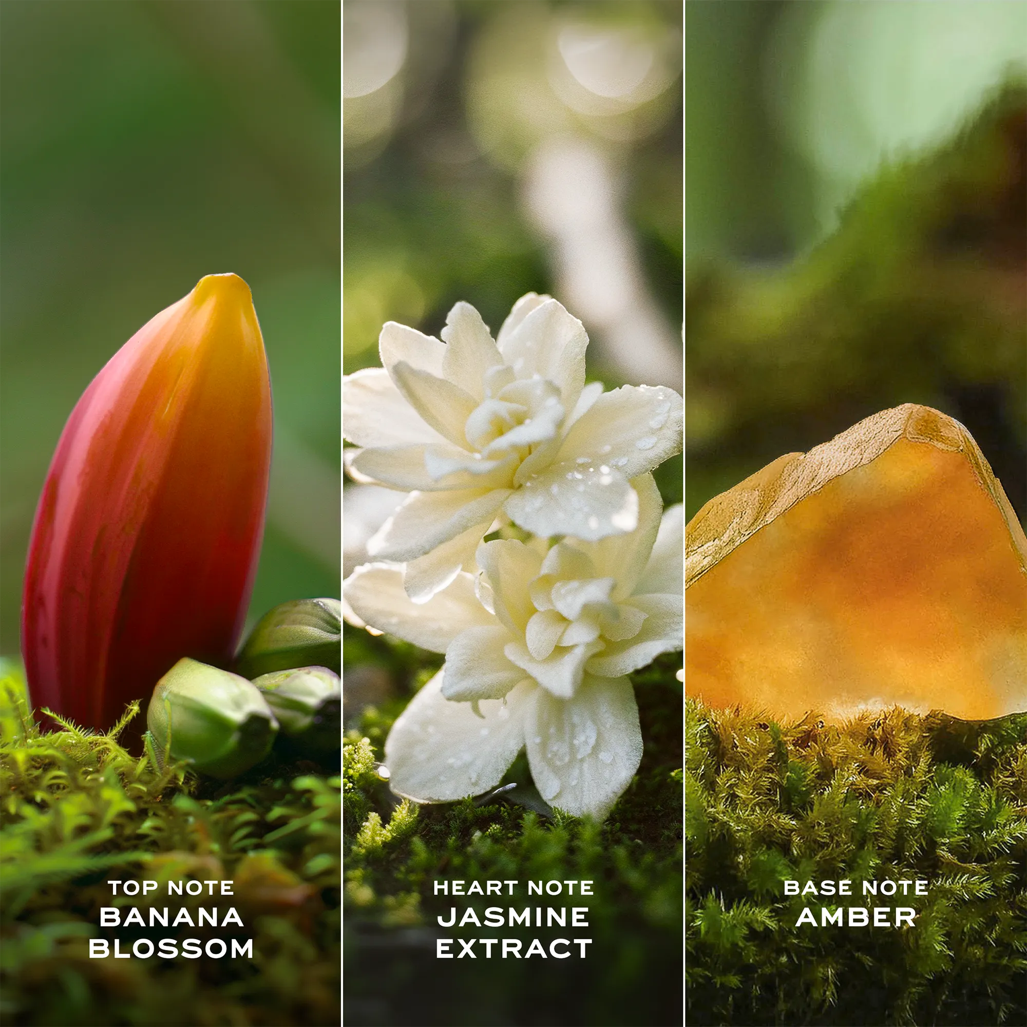 Perfume Marc Jacobs Daisy Wild Eau So Intense EDP (W) / 100 ml - 6 - Privé Perfumes Honduras