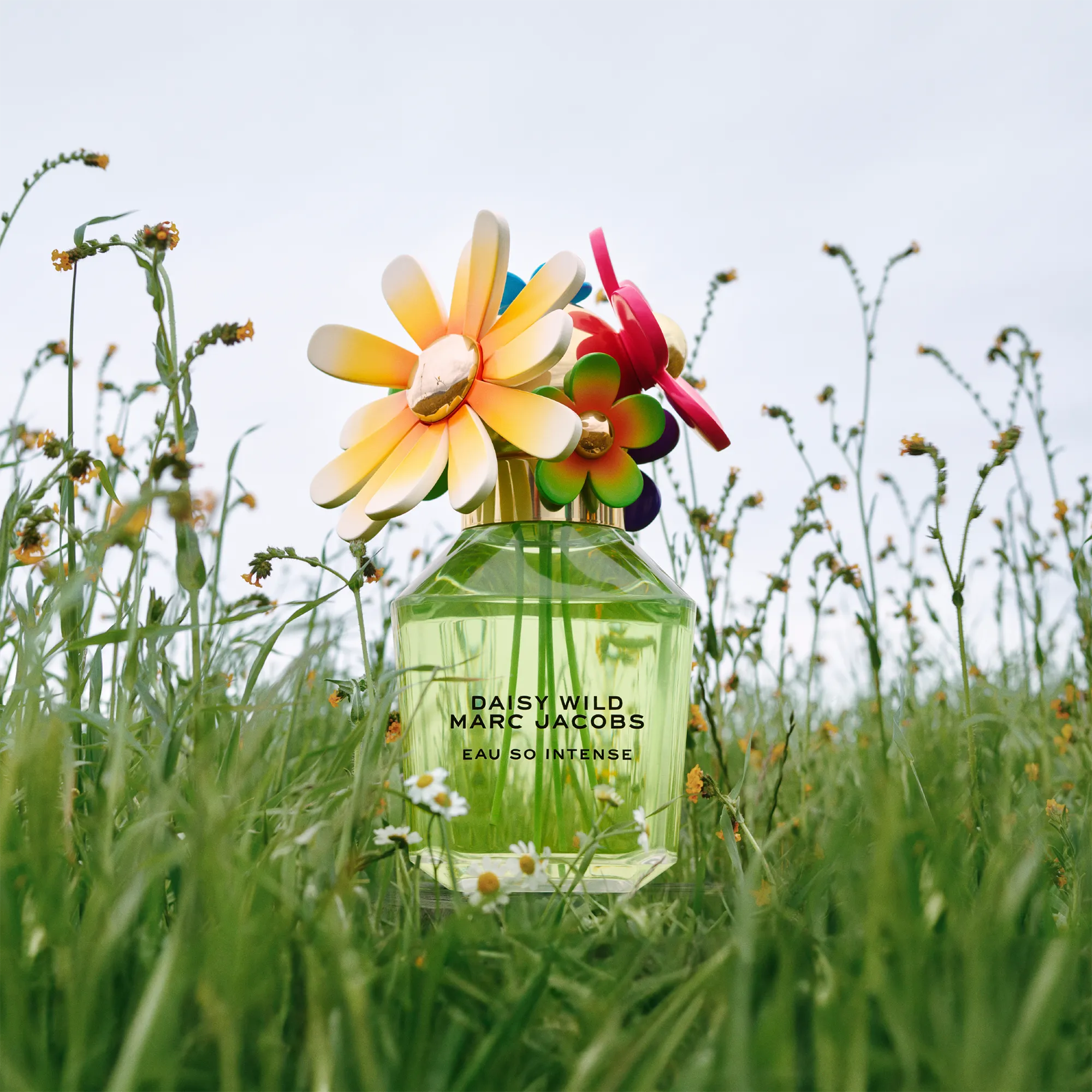 Perfume Marc Jacobs Daisy Wild Eau So Intense EDP (W) / 50 ml - 7 - Privé Perfumes Honduras