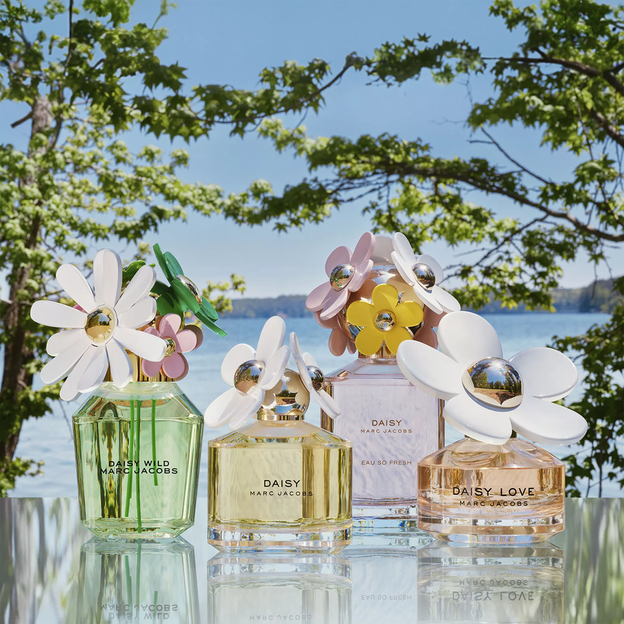 Perfume Marc Jacobs Daisy Wild EDP (W) / 50 ml - 5 - Privé Perfumes Honduras