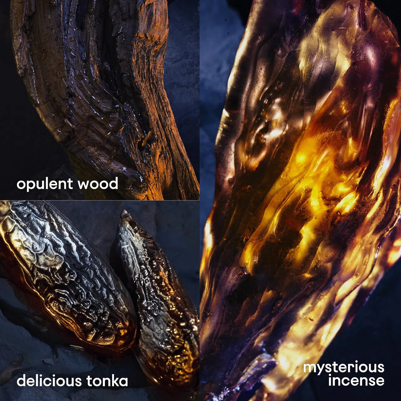 Perfume Paco Rabanne Invictus Victory Elixir Parfum (M) / 50 ml - 4 - Privé Perfumes Honduras