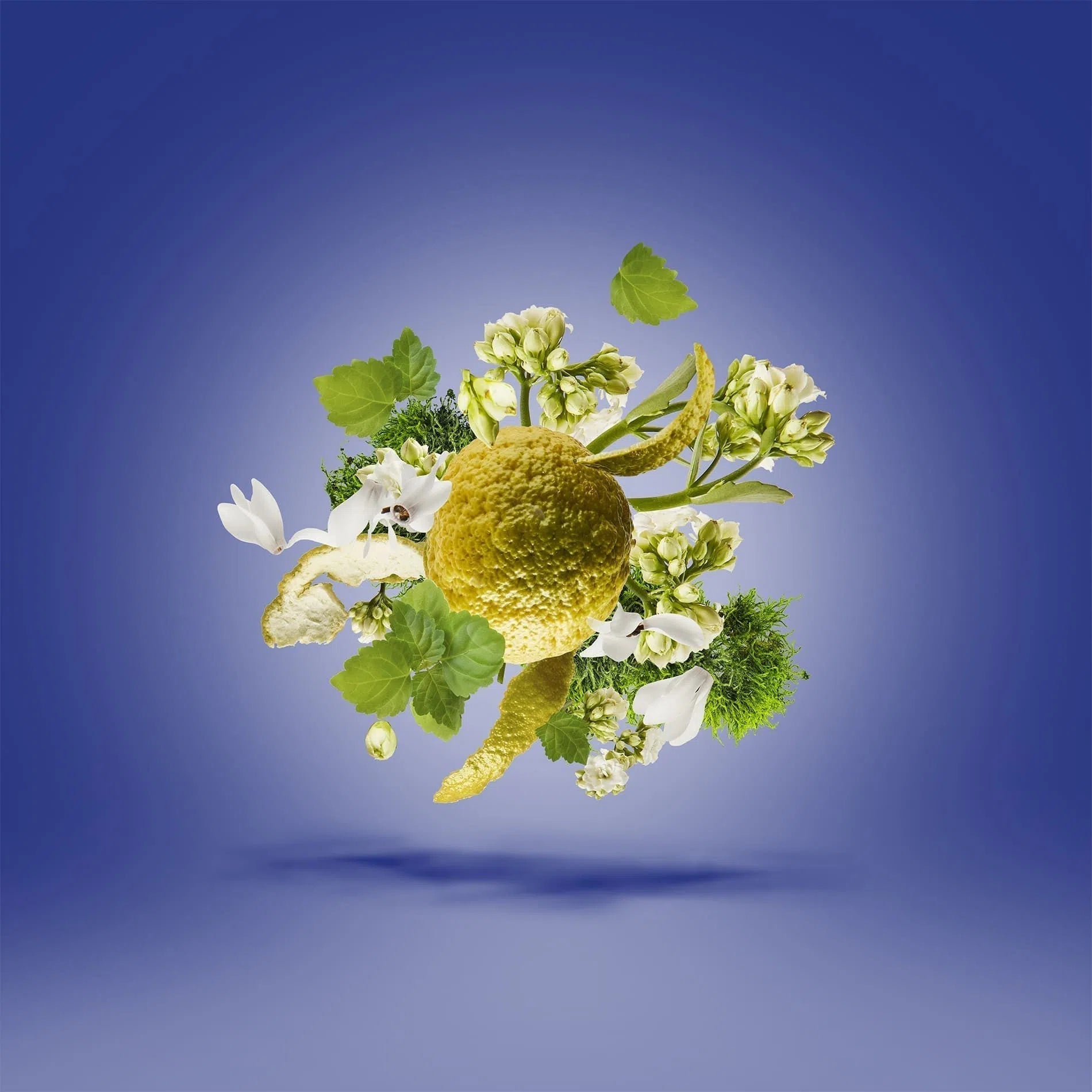 Perfume Xerjoff Nitto ATP Finals Torino23 EDP (U) / 50 ml - 3 - Privé Perfumes Honduras