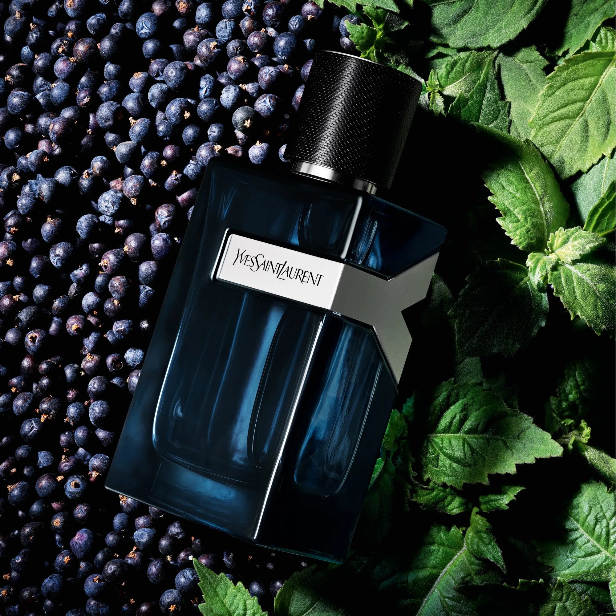 Perfume Yves Saint Laurent Y Intense EDP (M) / 60 ml - 2 - Privé Perfumes Honduras