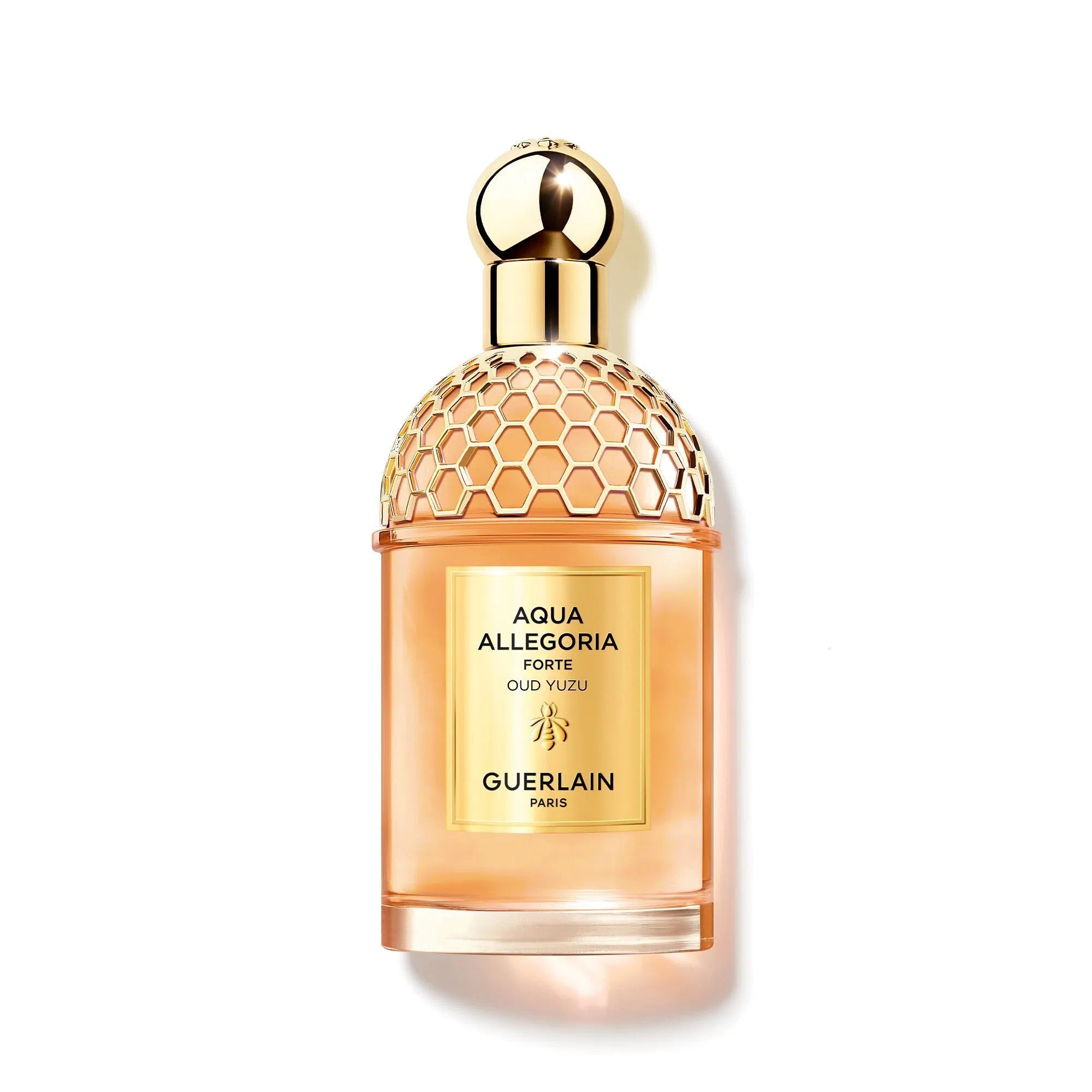 Perfume Guerlain Aqua Allegoria Forte Oud Yuzu EDP (U) / 125 ml - 3346470147430- 1 - Prive Perfumes Honduras