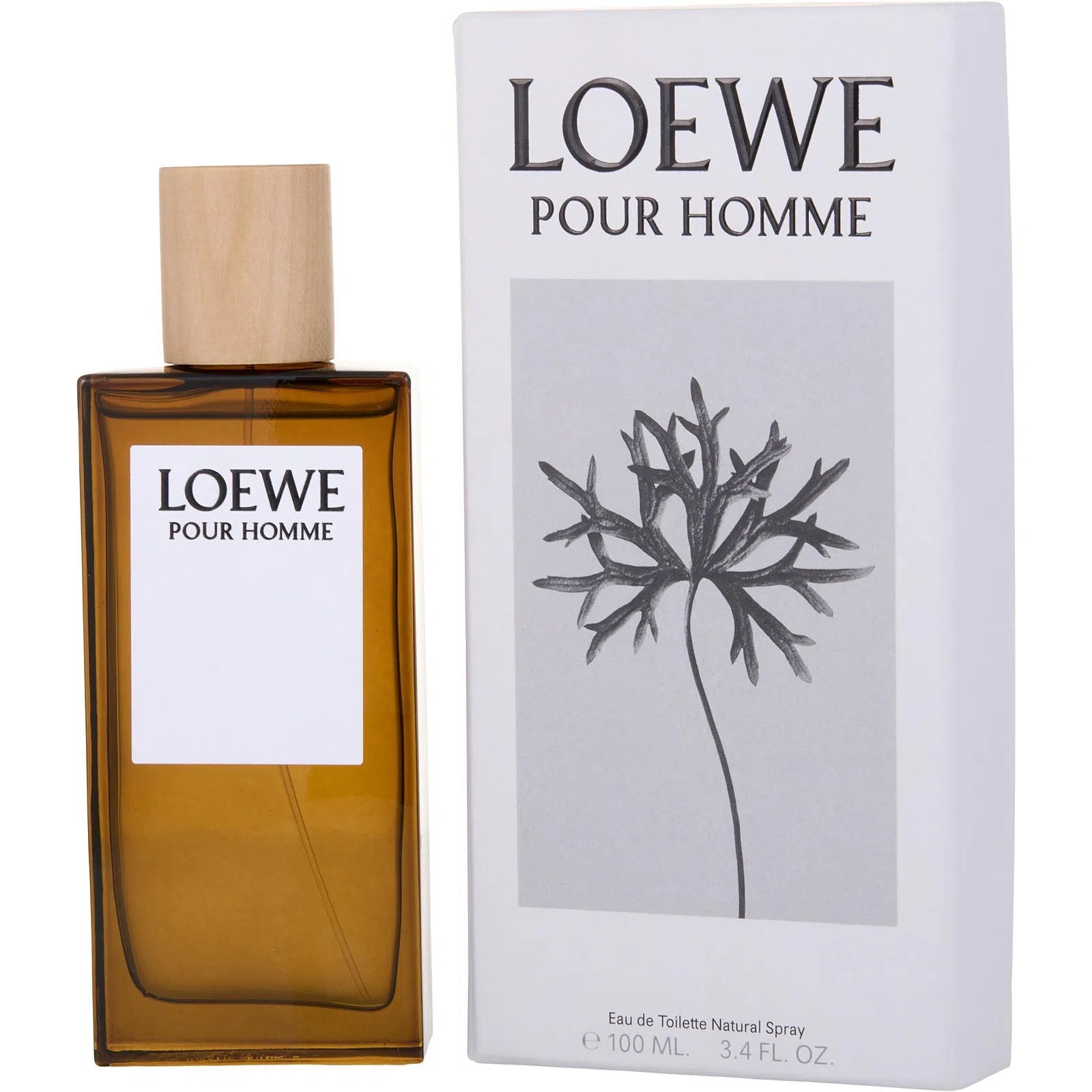 Perfume Loewe Pour Homme EDT (M) / 100 ml - 8426017070119- 1 - Prive Perfumes Honduras