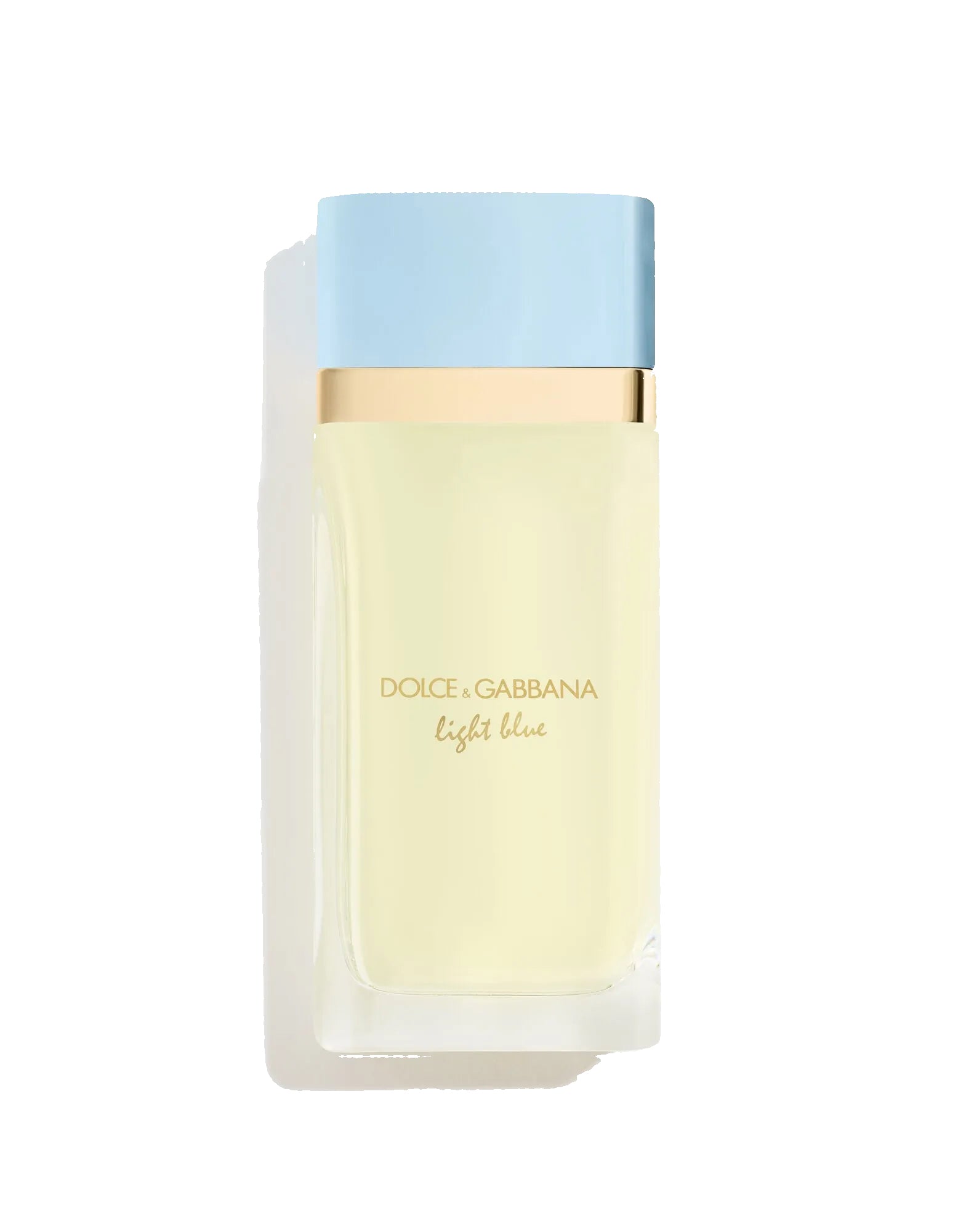 D&G official | Light Blue EDP | 8149791801413