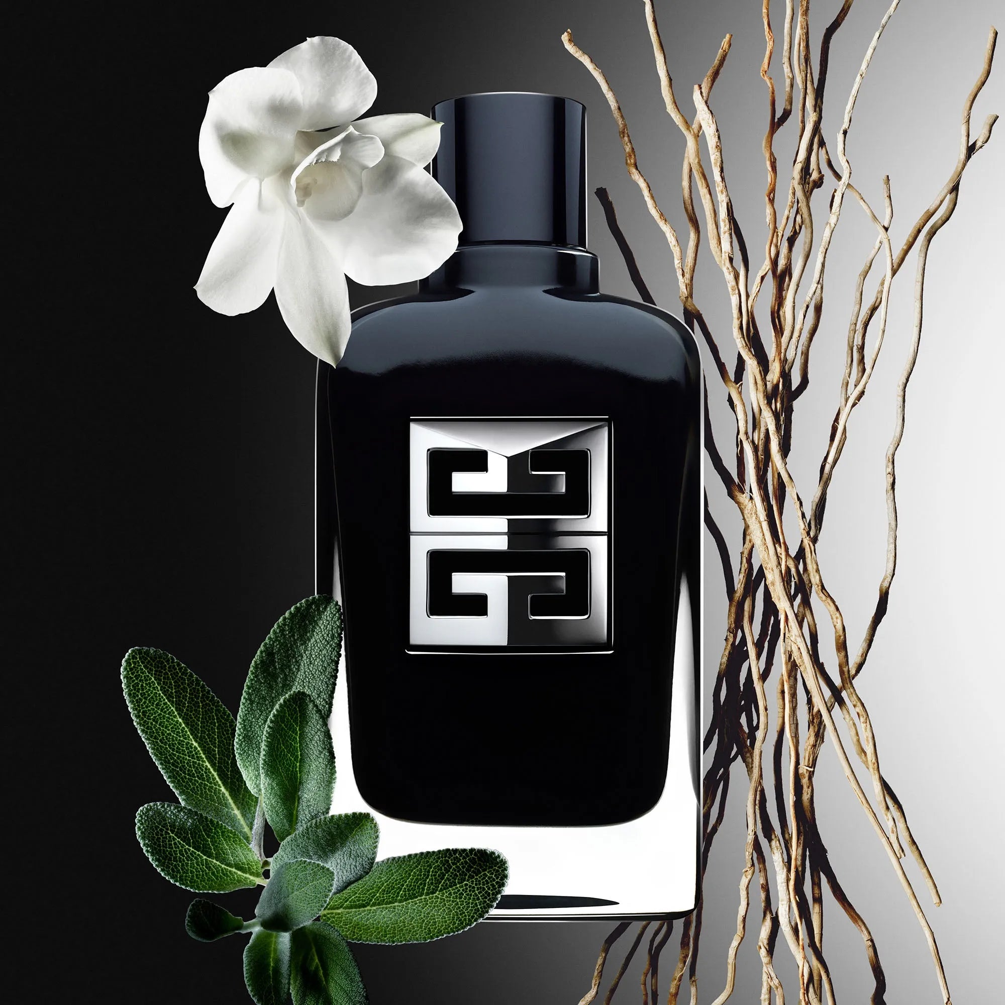 Estuche Givenchy Gentleman Society EDP (M) / 3 Pc SP 100 ml; SG 200 ml; Mini SP 15 ml - 2 - Privé Perfumes Honduras