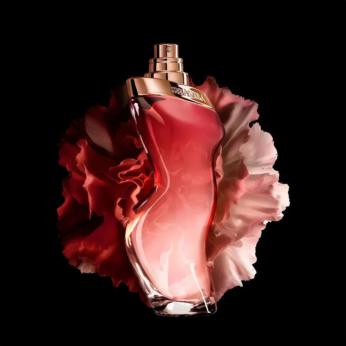 Estuche Shakira Dance Midnight Muse EDT (W) / 2 Pc SP 80 ml; DEO - 5 - Privé Perfumes Honduras