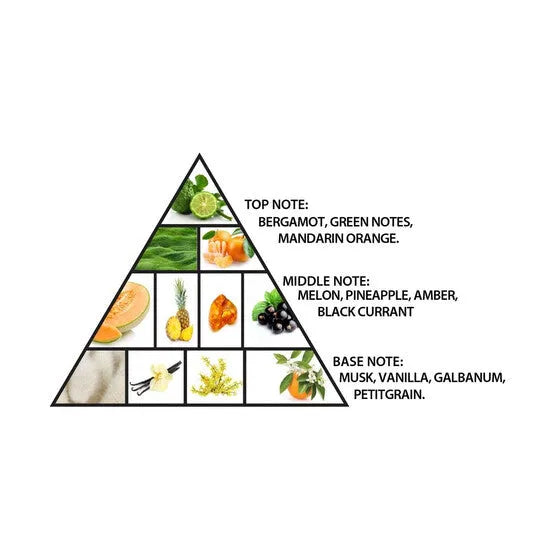 Perfume Al Haramain Amber Oud Aqua Dubai Parfum (U) / 100 ml - 4 - Privé Perfumes Honduras