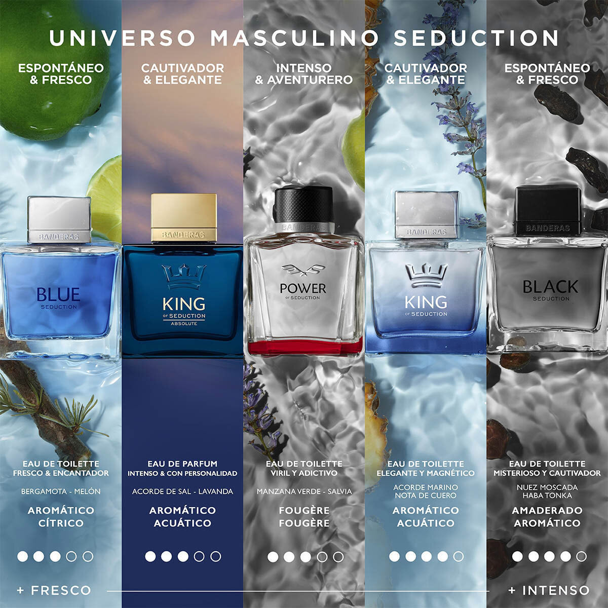 Perfume Antonio Banderas King Of Seduction EDT (M) / 100 ml - 7 - Privé Perfumes Honduras