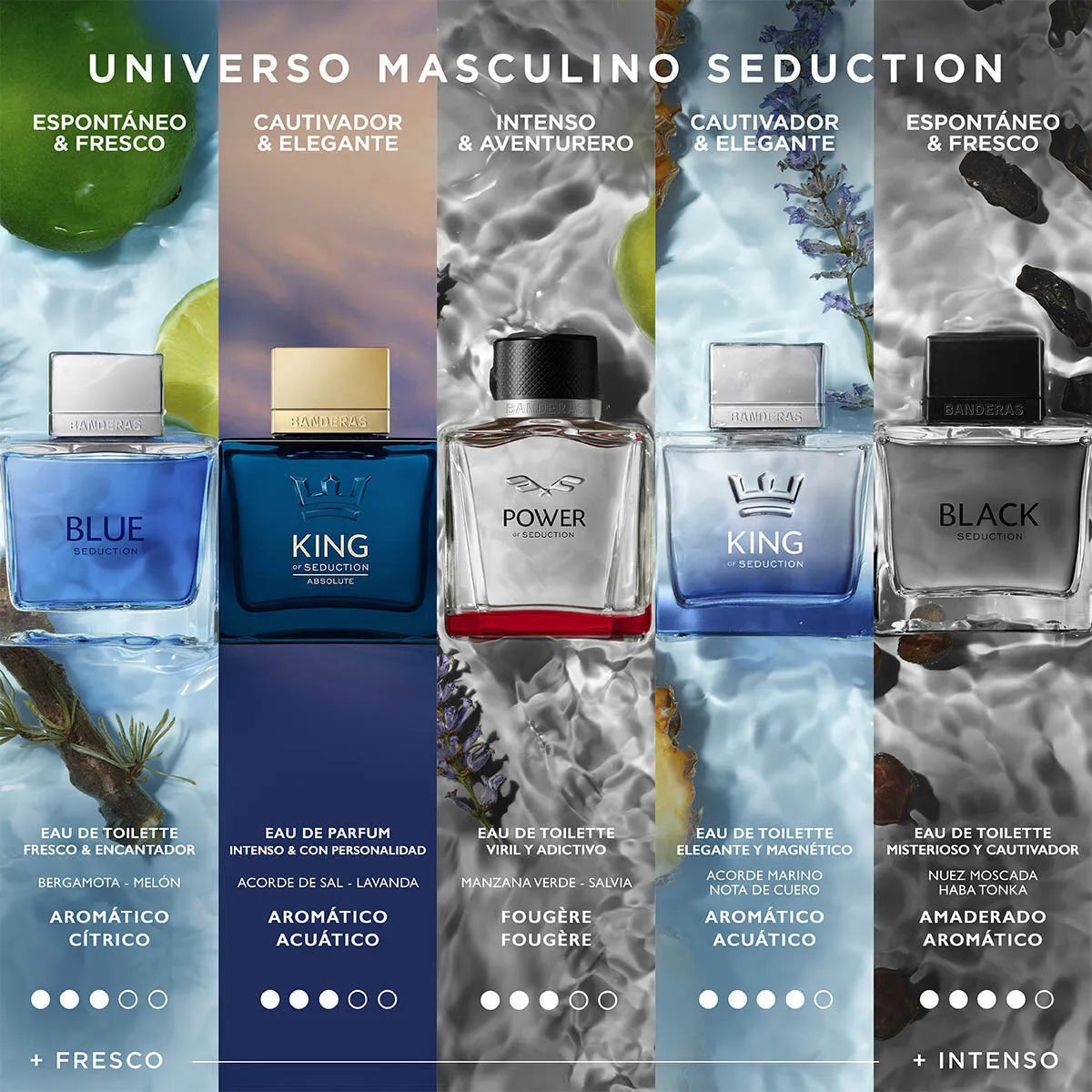 Perfume Antonio Banderas King Of Seduction EDT (M) / 100 ml - 7 - Privé Perfumes Honduras