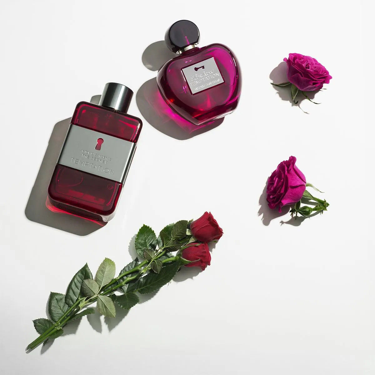 Perfume Antonio Banderas The Secret Temptation EDT (M) / 100 ml - 6 - Privé Perfumes Honduras