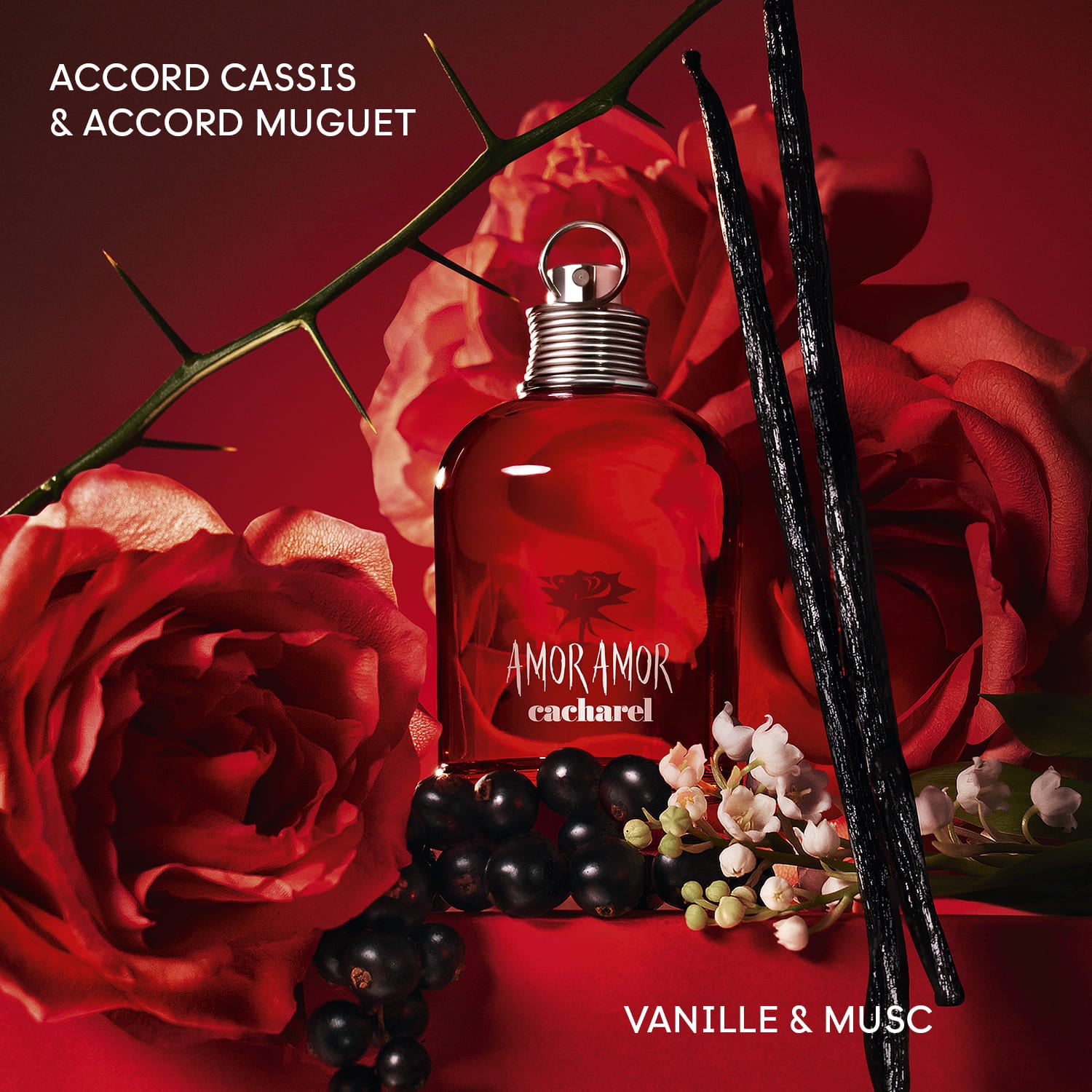 Perfume Cacharel Amor Amor EDT (W) / 100 ml - 4 - Privé Perfumes Honduras