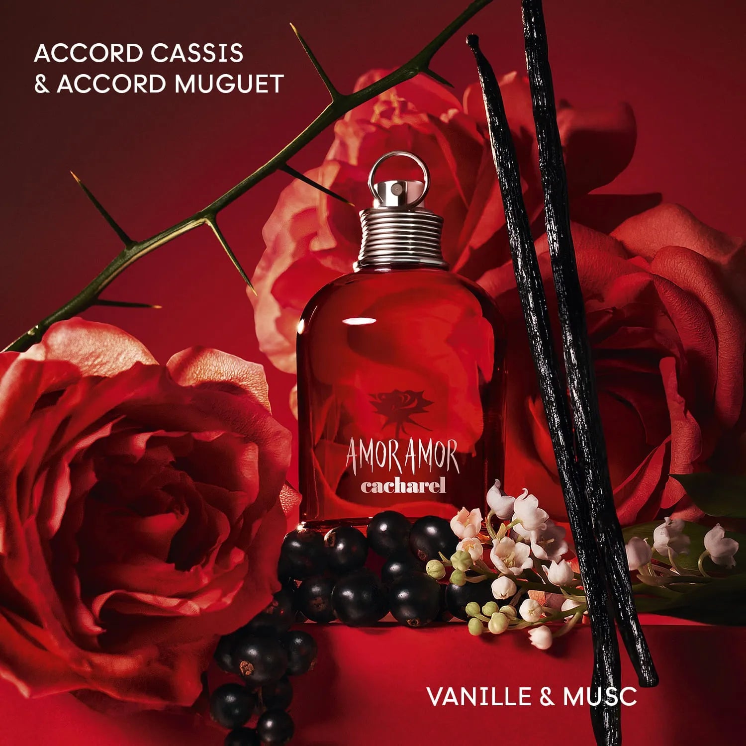 Perfume Cacharel Amor Amor EDT (W) / 100 ml - 4 - Privé Perfumes Honduras