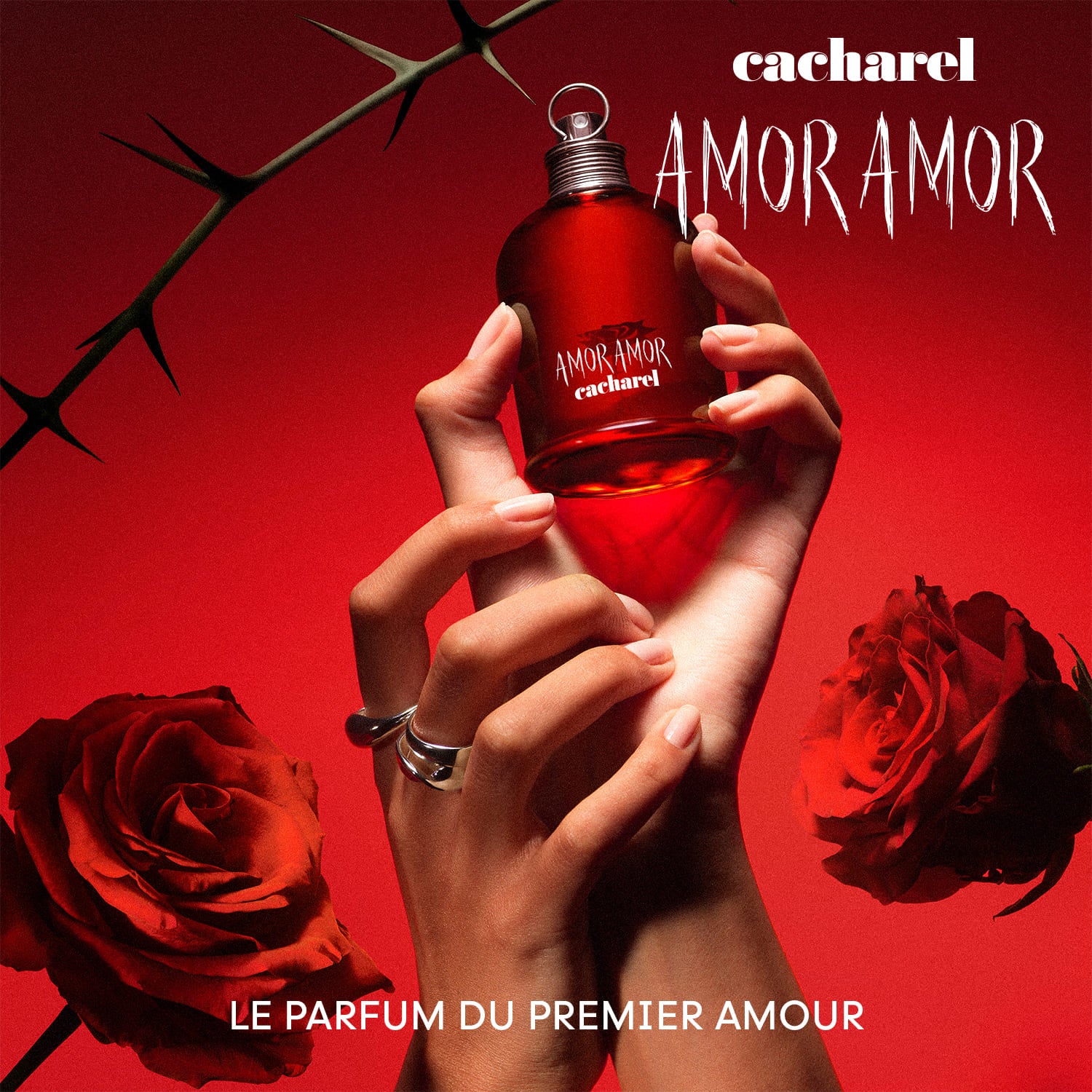 Perfume Cacharel Amor Amor EDT (W) / 100 ml - 6 - Privé Perfumes Honduras