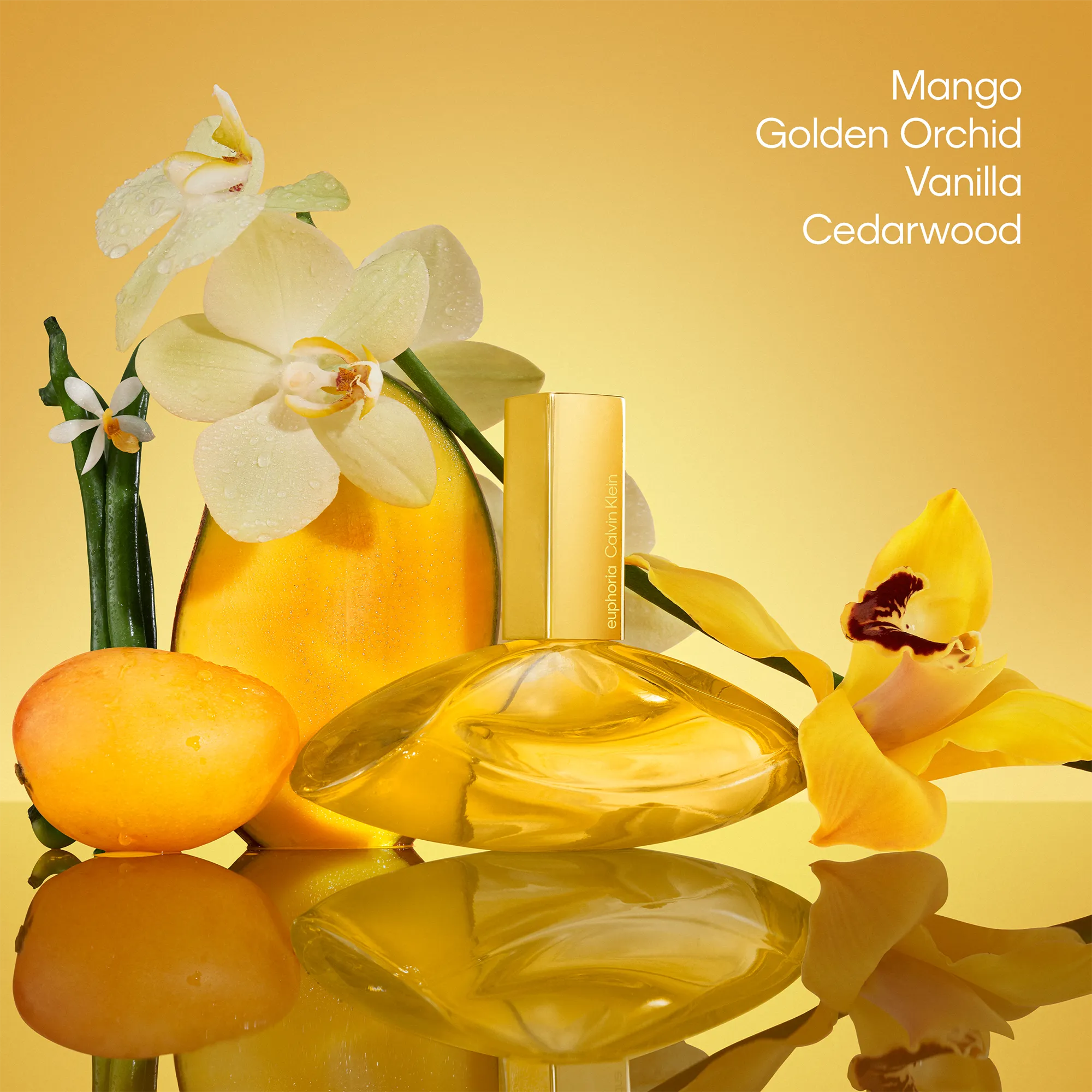 Perfume Calvin Klein Euphoria Solar Elixir Parfum Intense (W) / 100 ml - 4 - Privé Perfumes Honduras