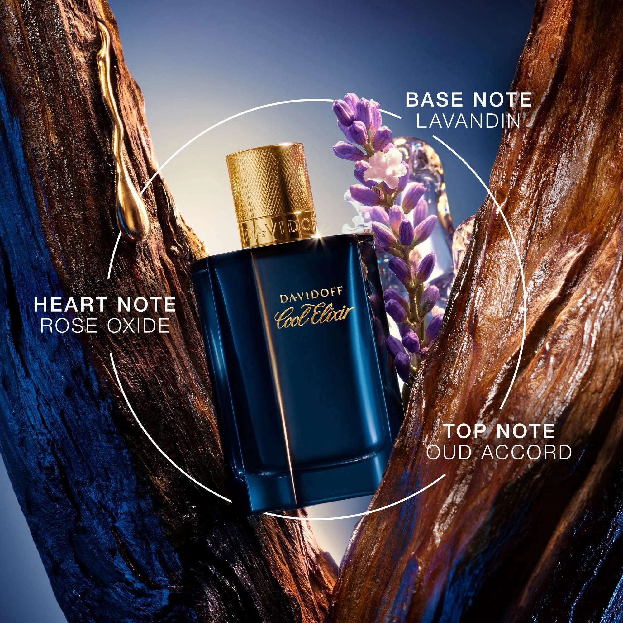 Perfume Davidoff Cool Elixir Parfum (M) / 100 ml - 5 - Privé Perfumes Honduras