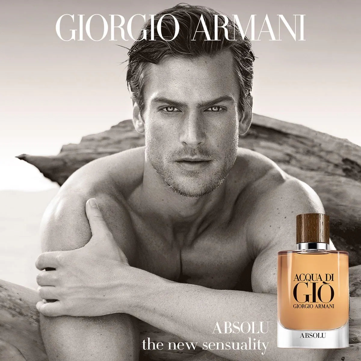 Perfume Giorgio Armani Acqua di Giò Absolu EDP (M) / 125 ml - 6 - Privé Perfumes Honduras