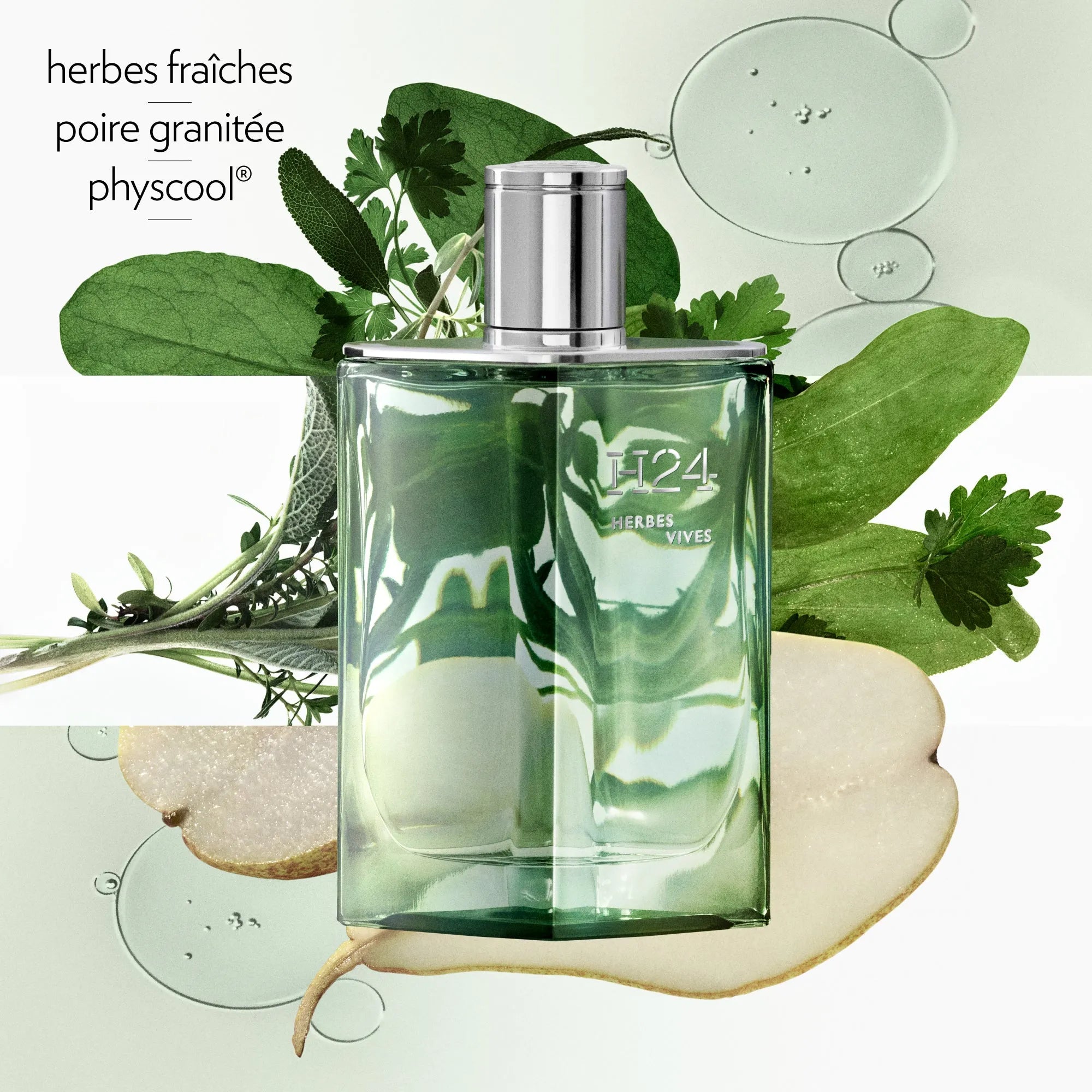 Perfume Hermès H24 Herbes Vives EDP (M) / 100 ml - 5 - Privé Perfumes Honduras
