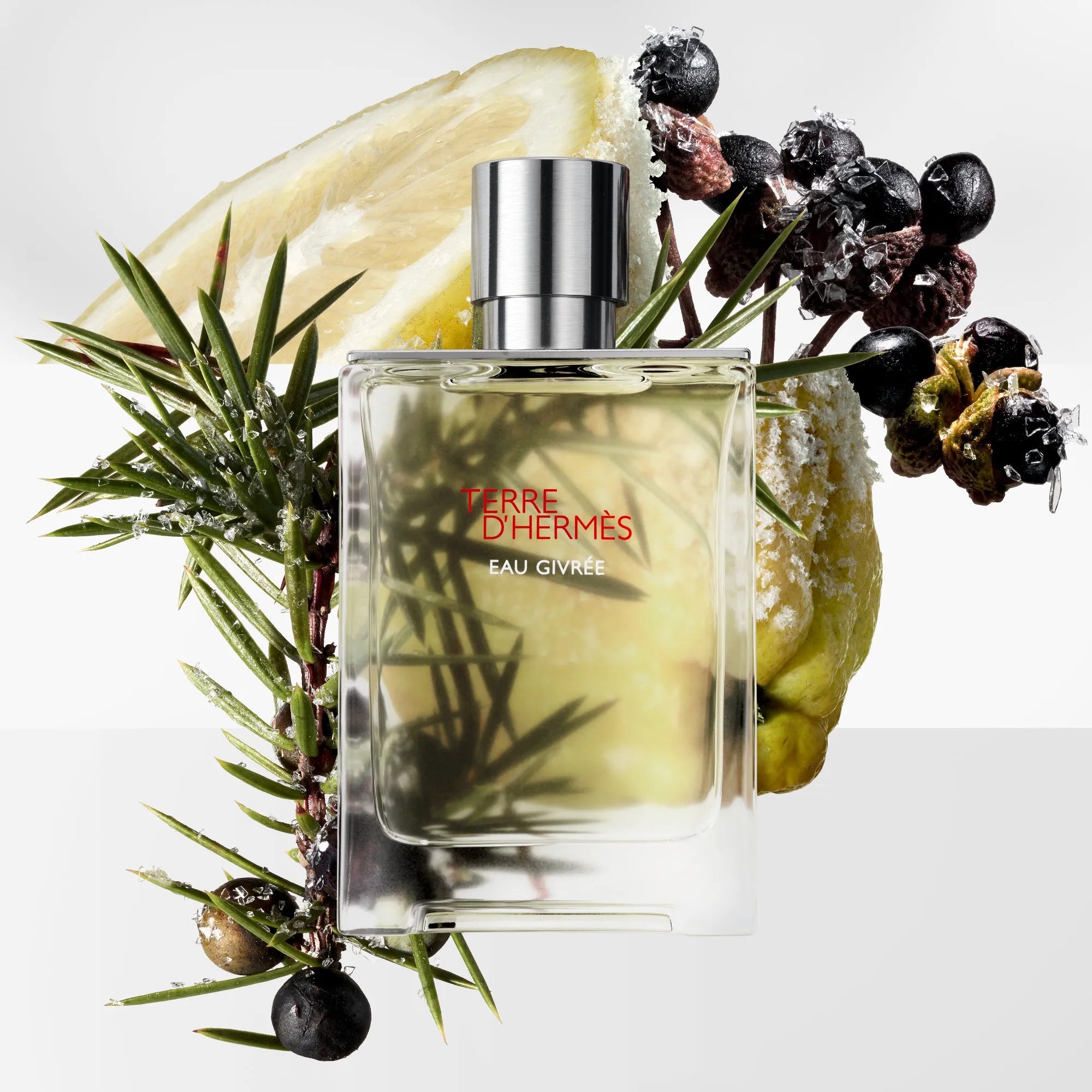 Perfume Hermès Terre D'Hermes Eau Givree EDP (M) / 100 ml - 12 - Privé Perfumes Honduras
