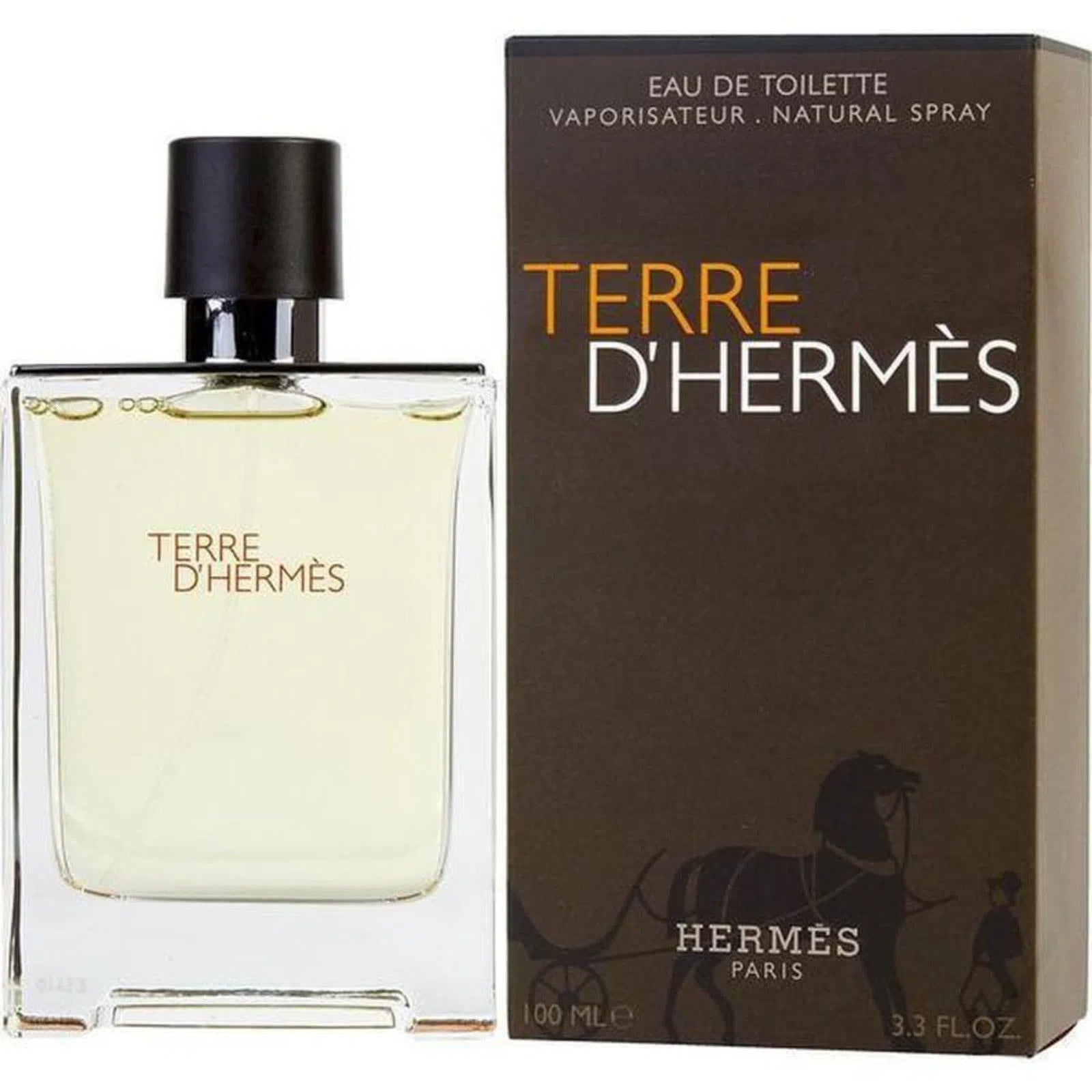 Perfume Hermès Terre D'Hermes EDT (M) / 100 ml - 3346130009603- 1 - Prive Perfumes Honduras