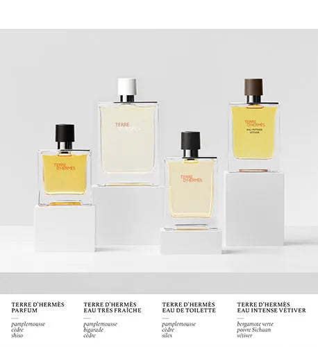 Perfume Hermès Terre d'Hermès EDT (M) / 100 ml - 8 - Privé Perfumes Honduras